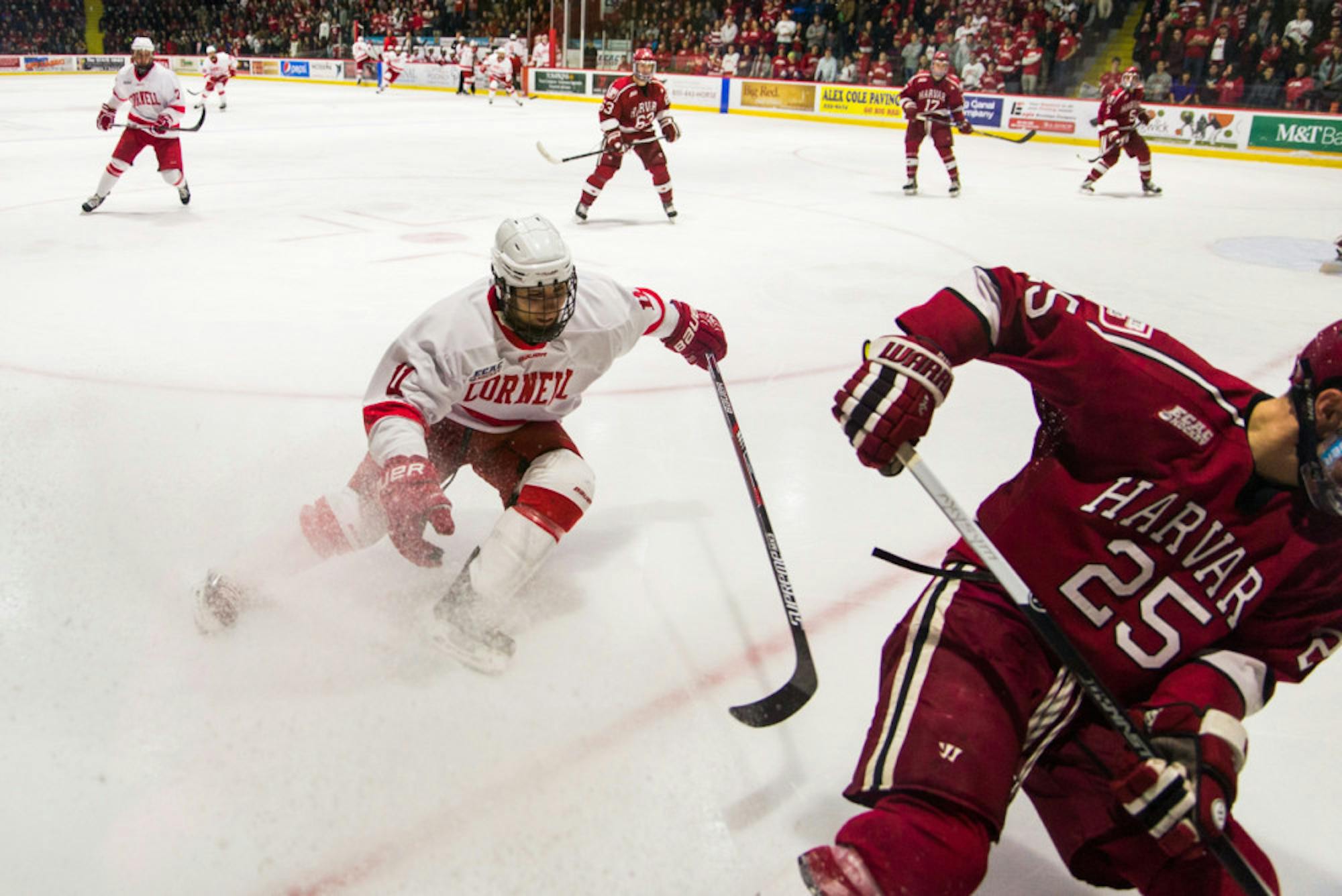 Pg-15-Freschi-Cameron-Pollack-Senior