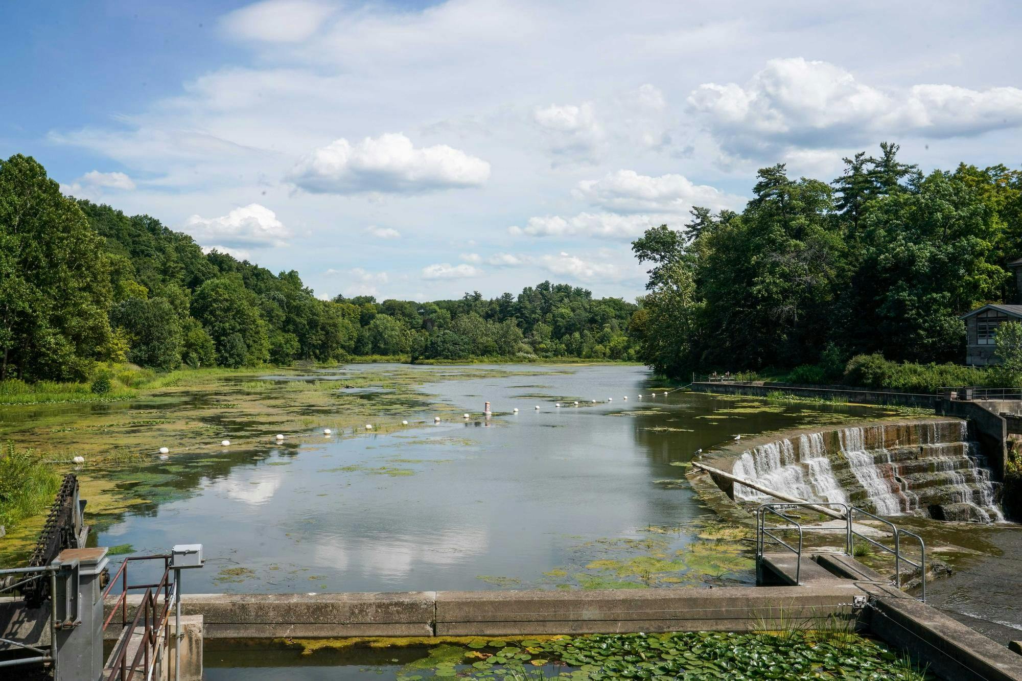 How A Cornell Psychology Professor Studies Early Childhood to Combat Climate Change