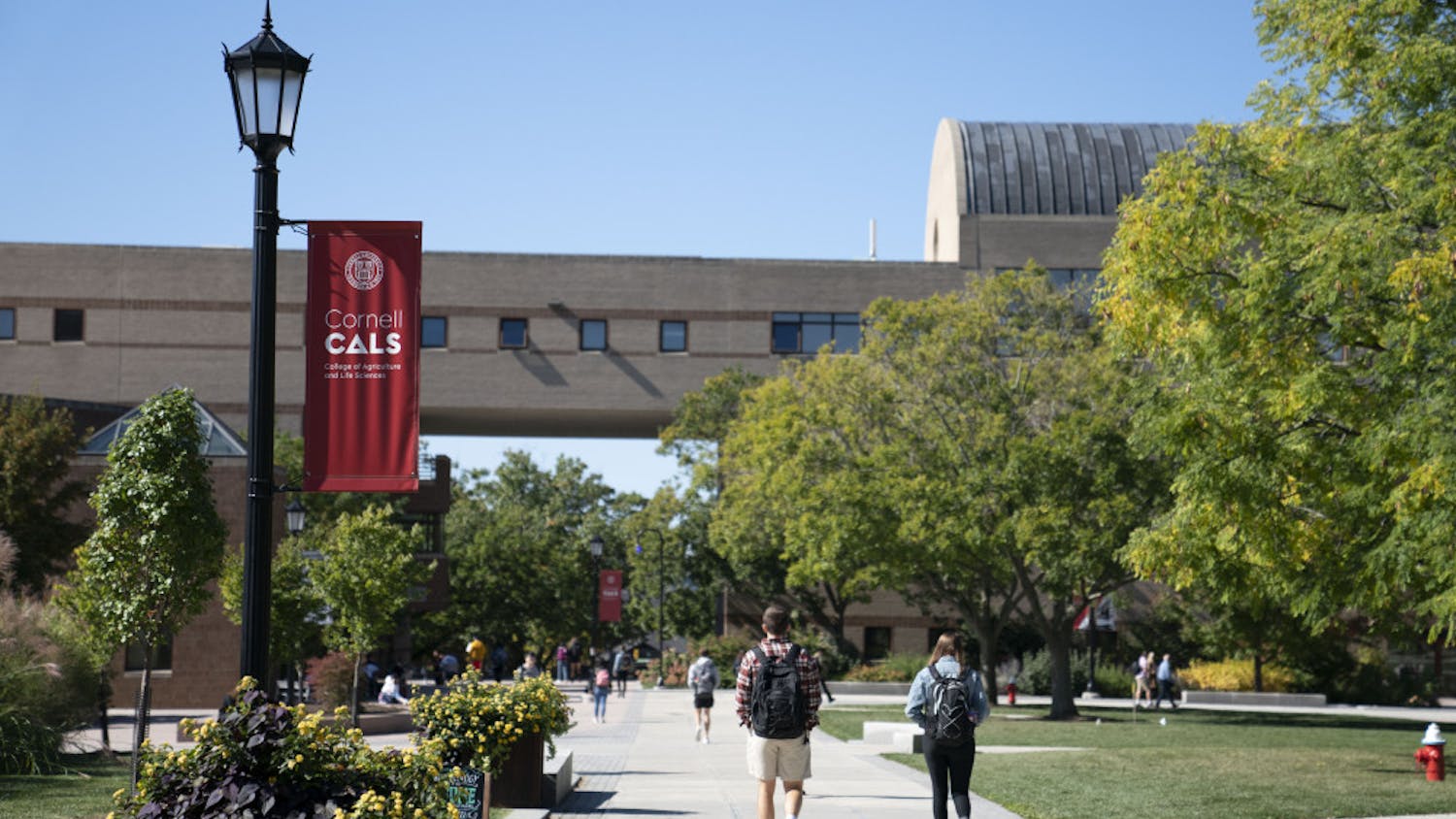 Ag-Quad-Ben-Parker-1