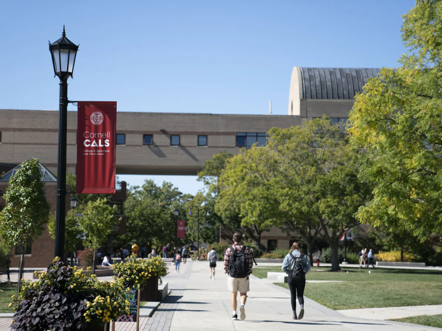 Ag-Quad-Ben-Parker-1