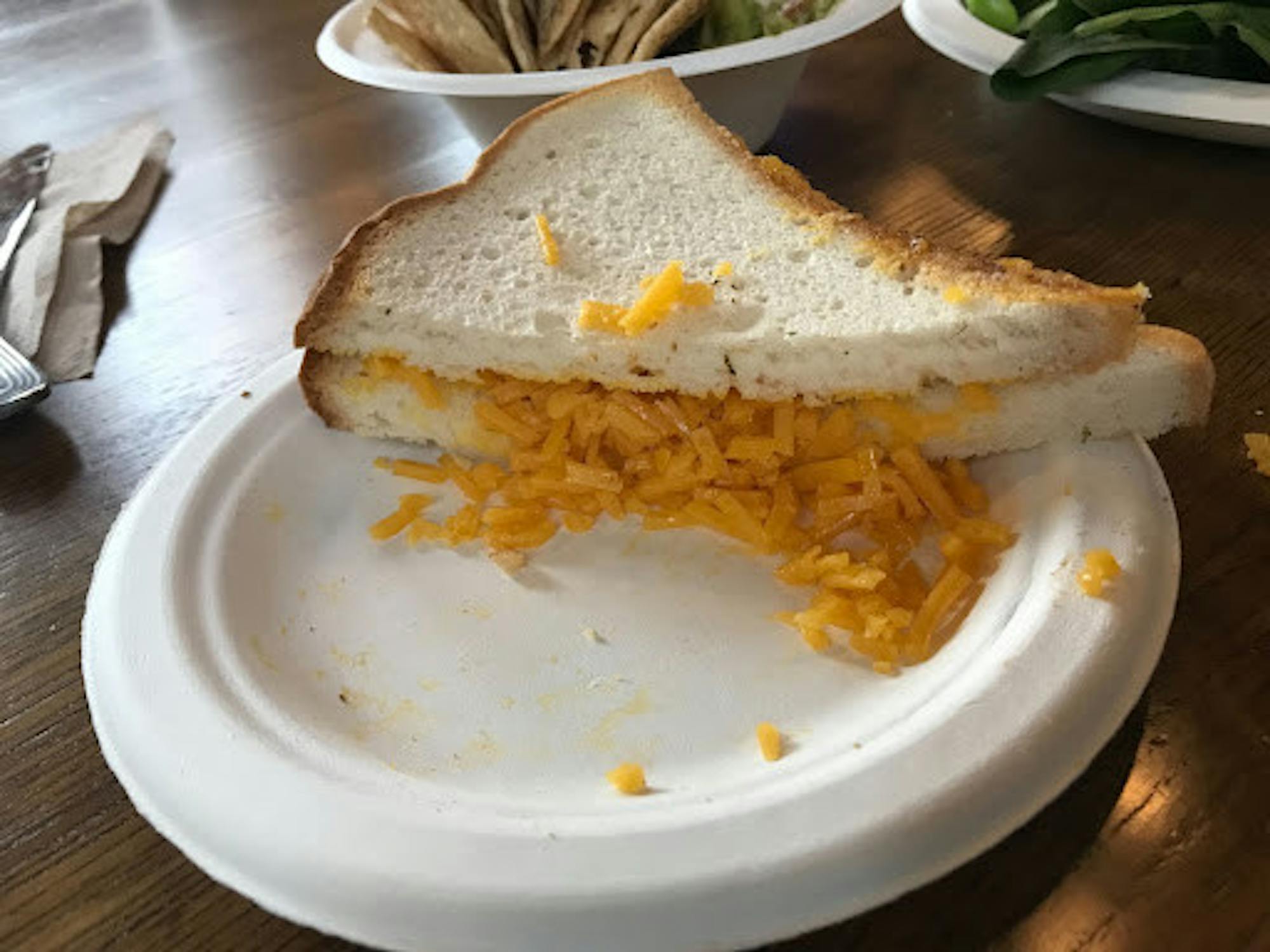 Melanie-Metz-photo-1