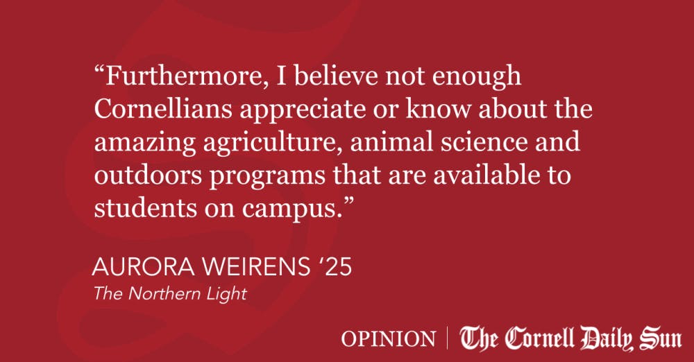 Quote-Block-Templates-59