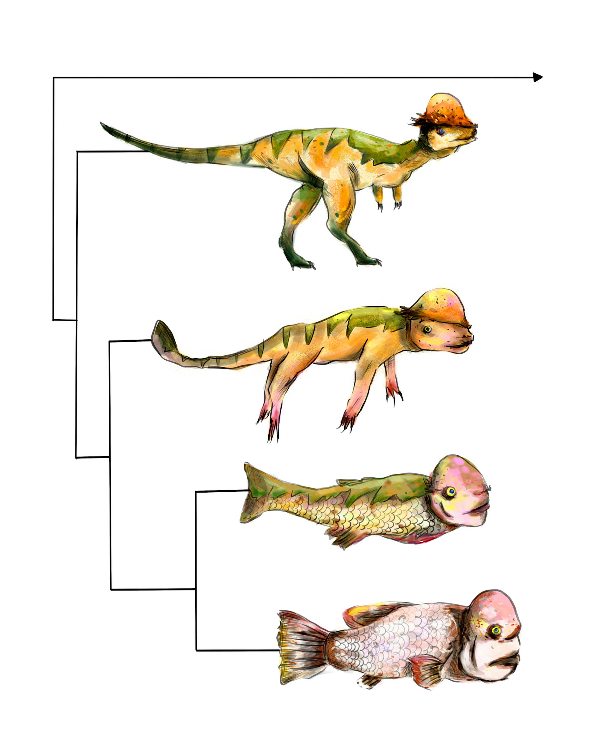 4/20 | Dinosaur Fish Evolution