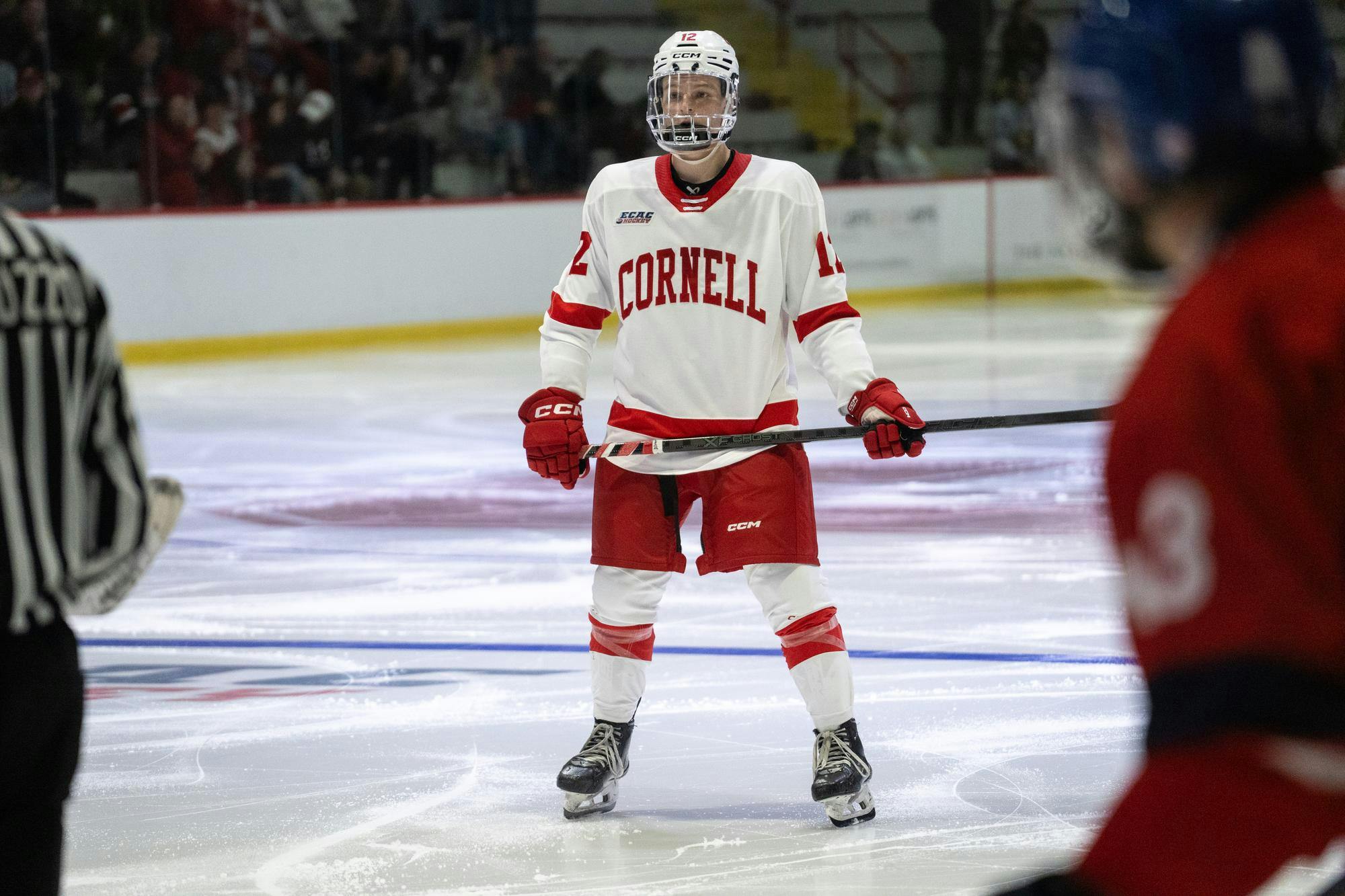 Big Red Mens hockey VS Czech-23.jpg