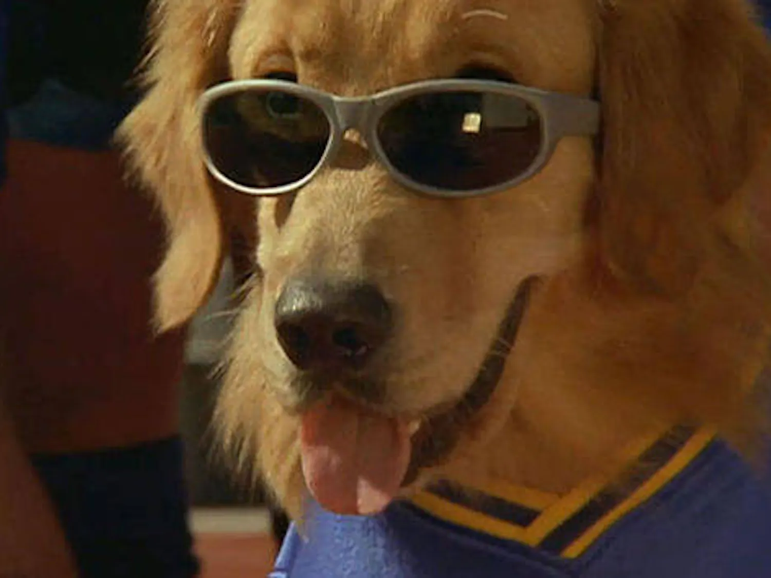 open-uri20150422-12561-wsxaoe_8c57d0d2