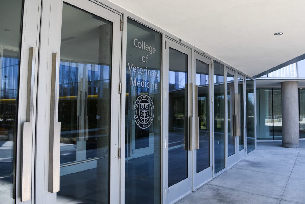 BYT-VetSchool-2-scaled