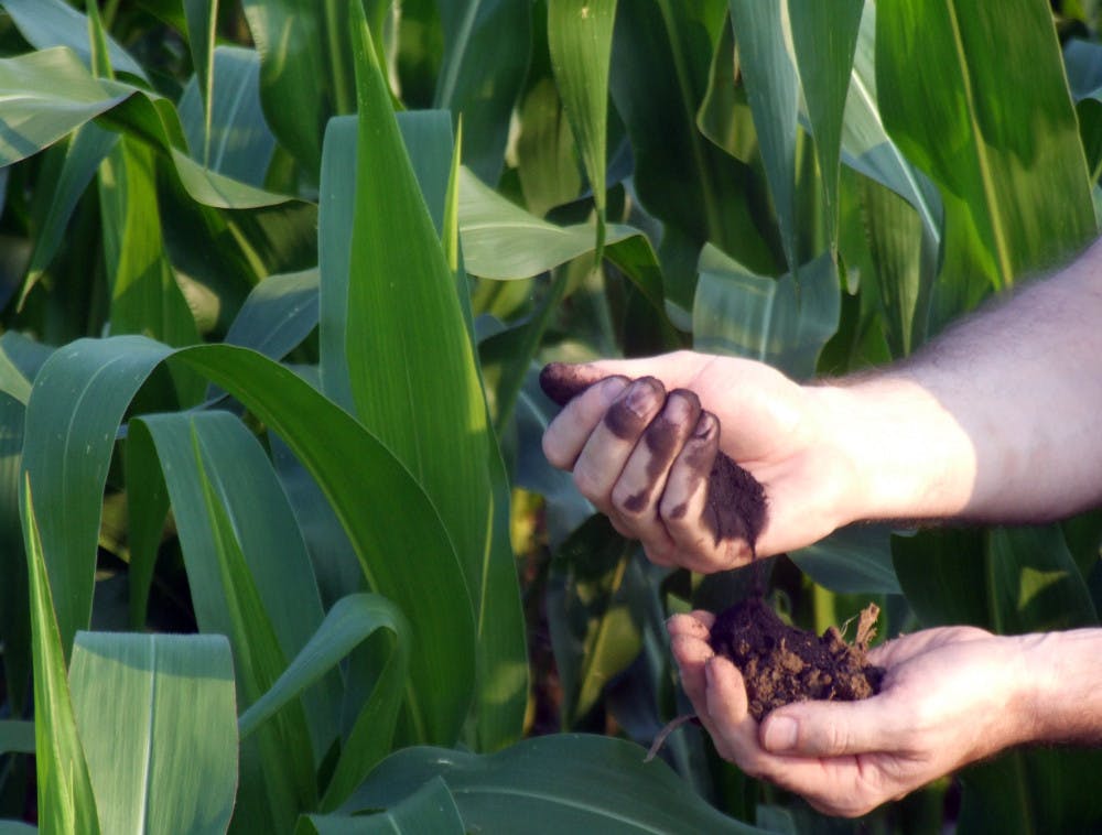 DSCF3156-cropped-min