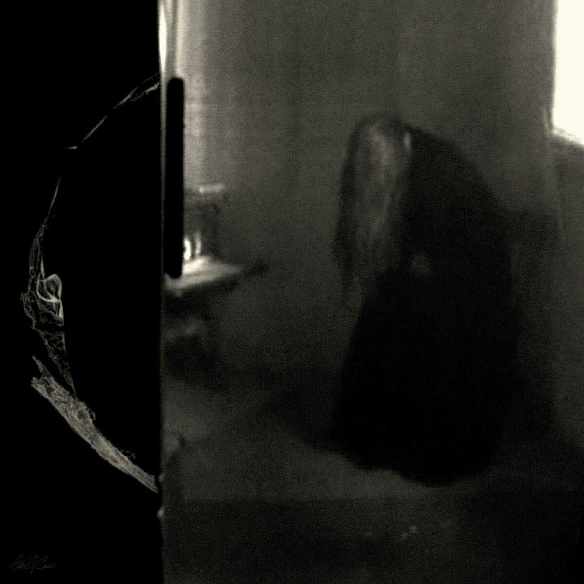 Courtesy of Daughters of Cain Records