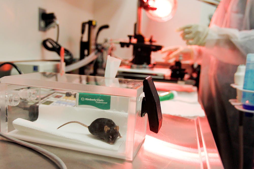 Pg-8-Diabetes-Science-courtesy-of-Jessica-Rinaldi