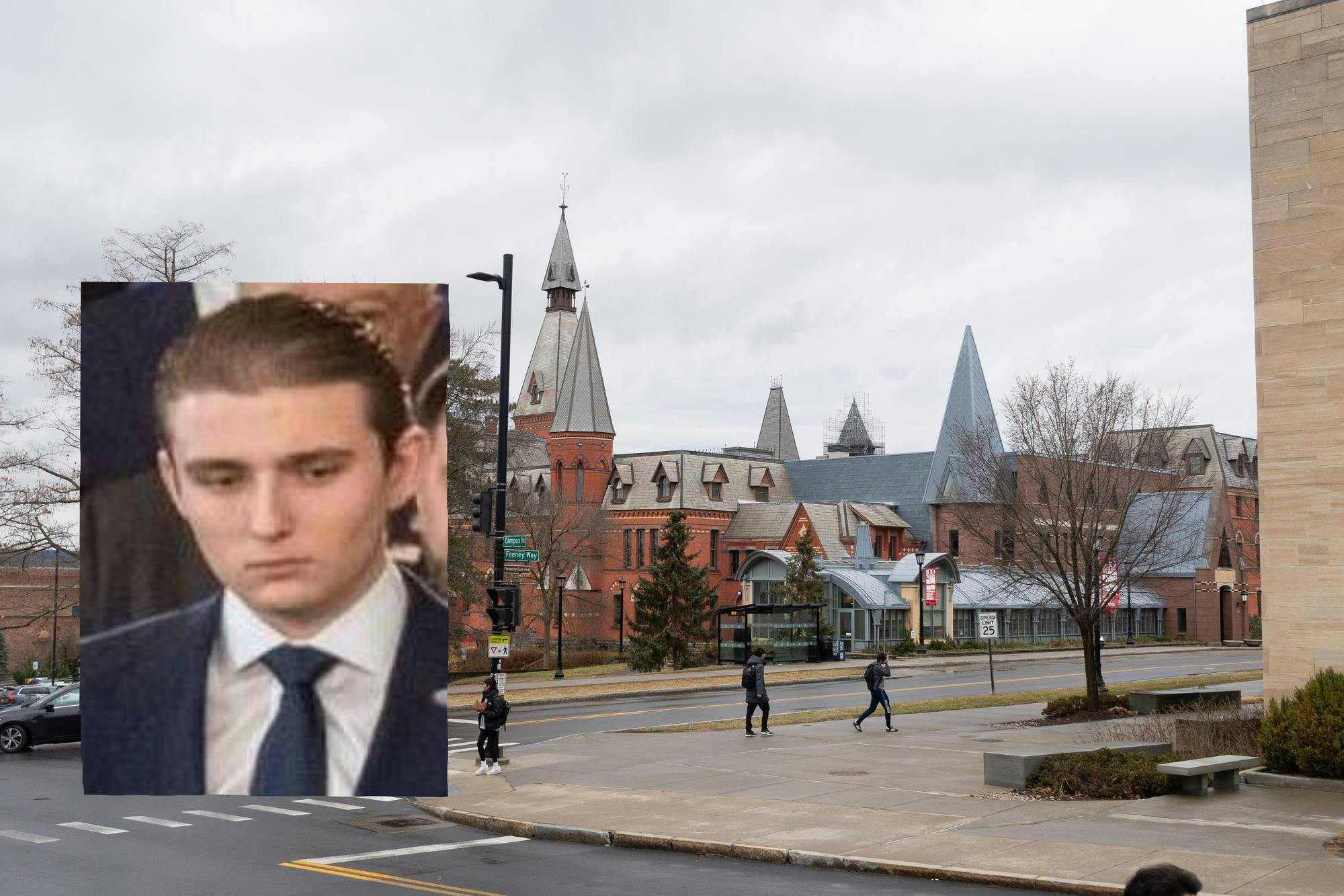 4-20 sunbursts barron.jpg