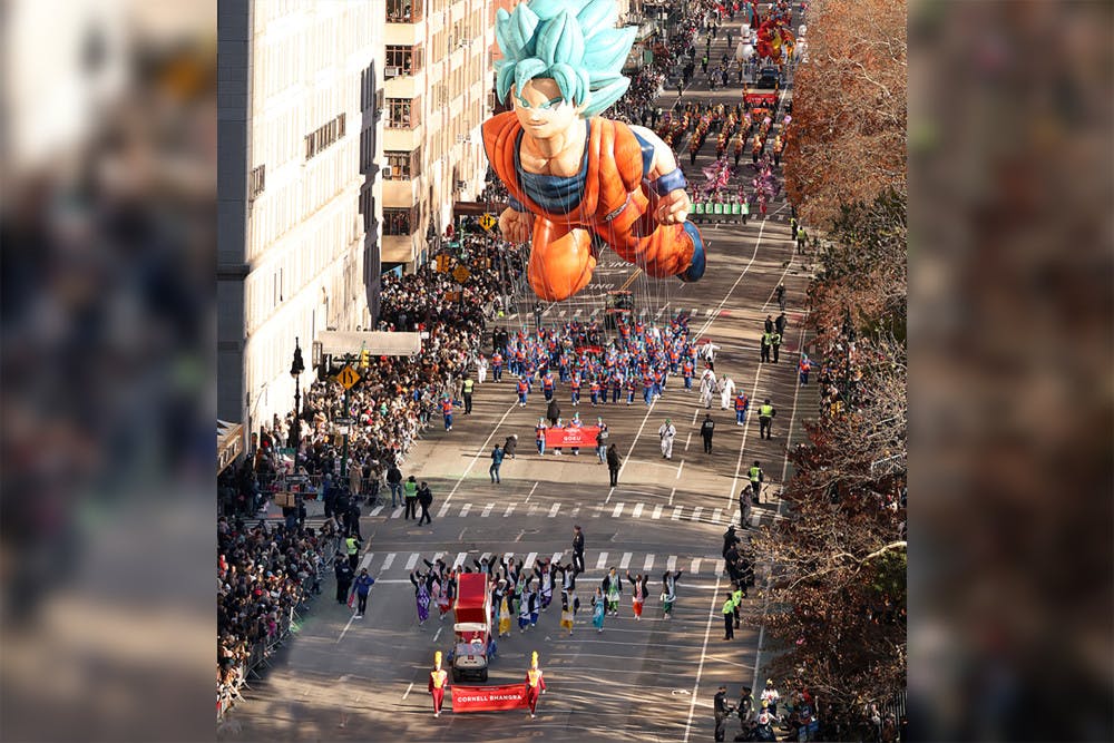 Bhangra-by-Kevin-McCormick-GroupPhotos.com_