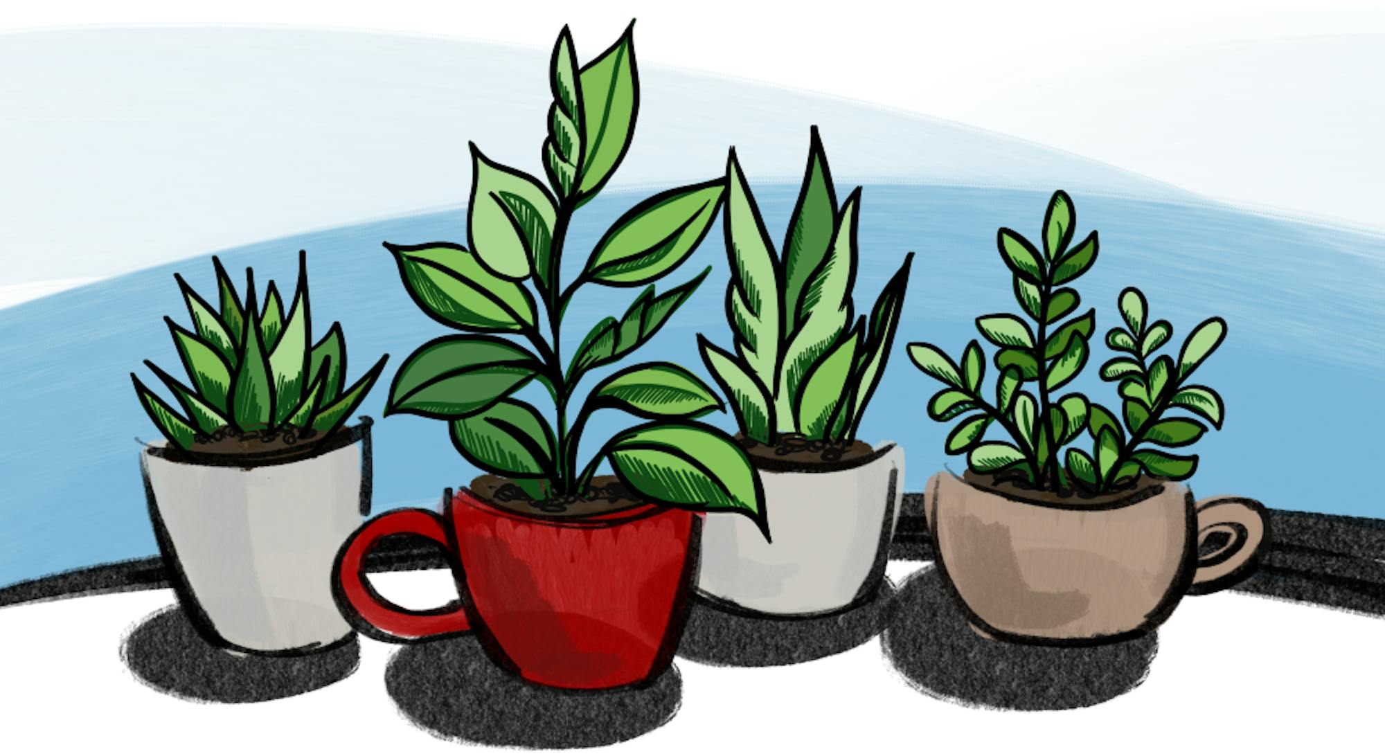 coffee-shops-composting-efforts-JM