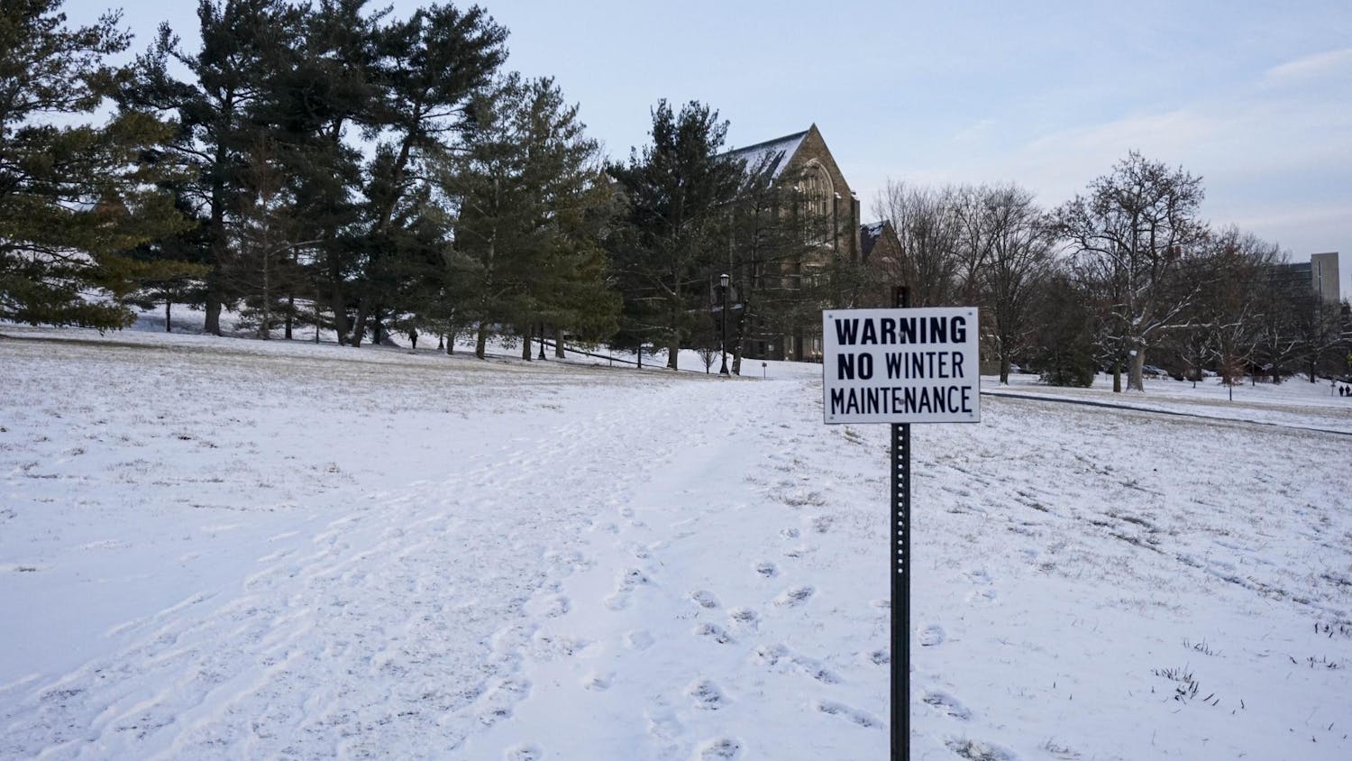 Winter Candids January 2026 by Sophia Romanov Imber-11.jpg