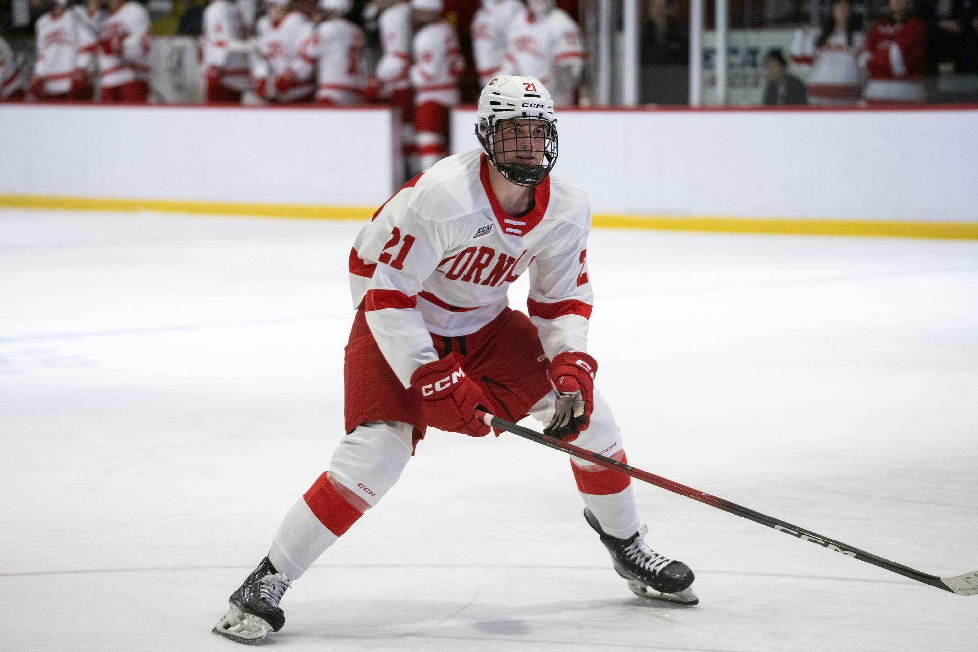 Big Red Mens hockey VS Czech-12.jpg