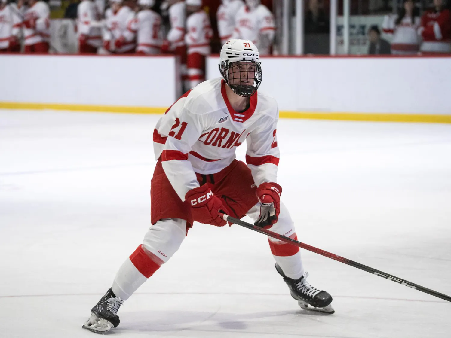 Big Red Mens hockey VS Czech-12.jpg