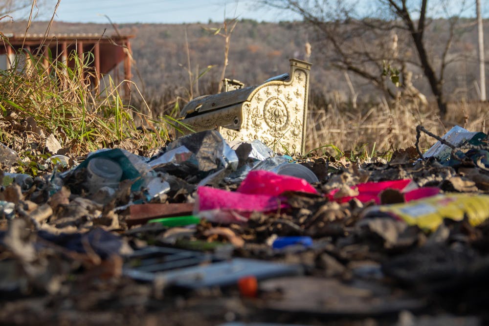 Jungle-by-Jason-Wu-Staff-Photographer