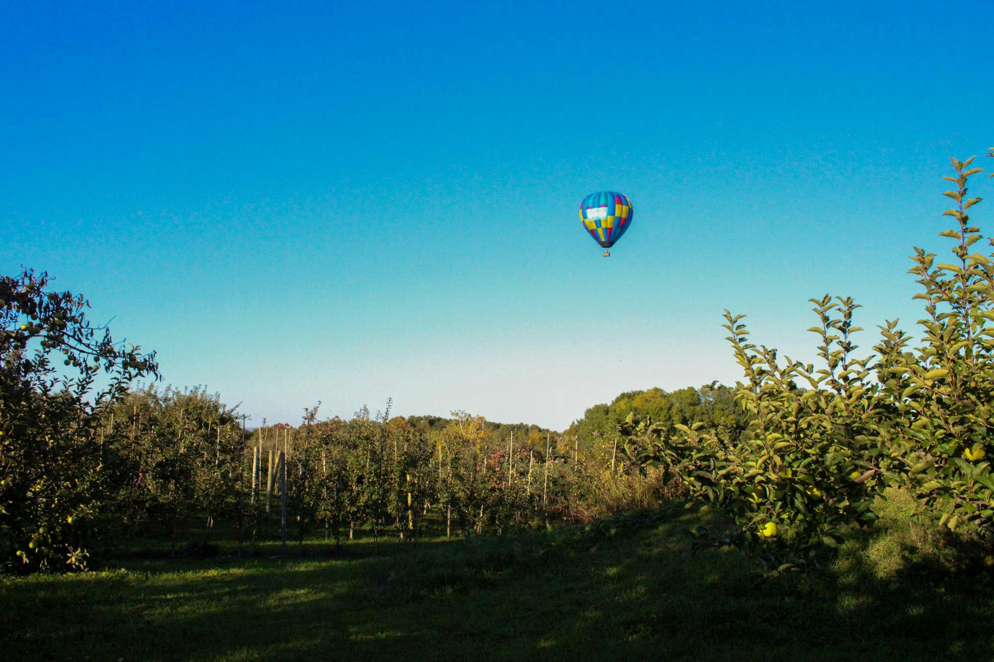 Hot Air Balloon Tour.jpg