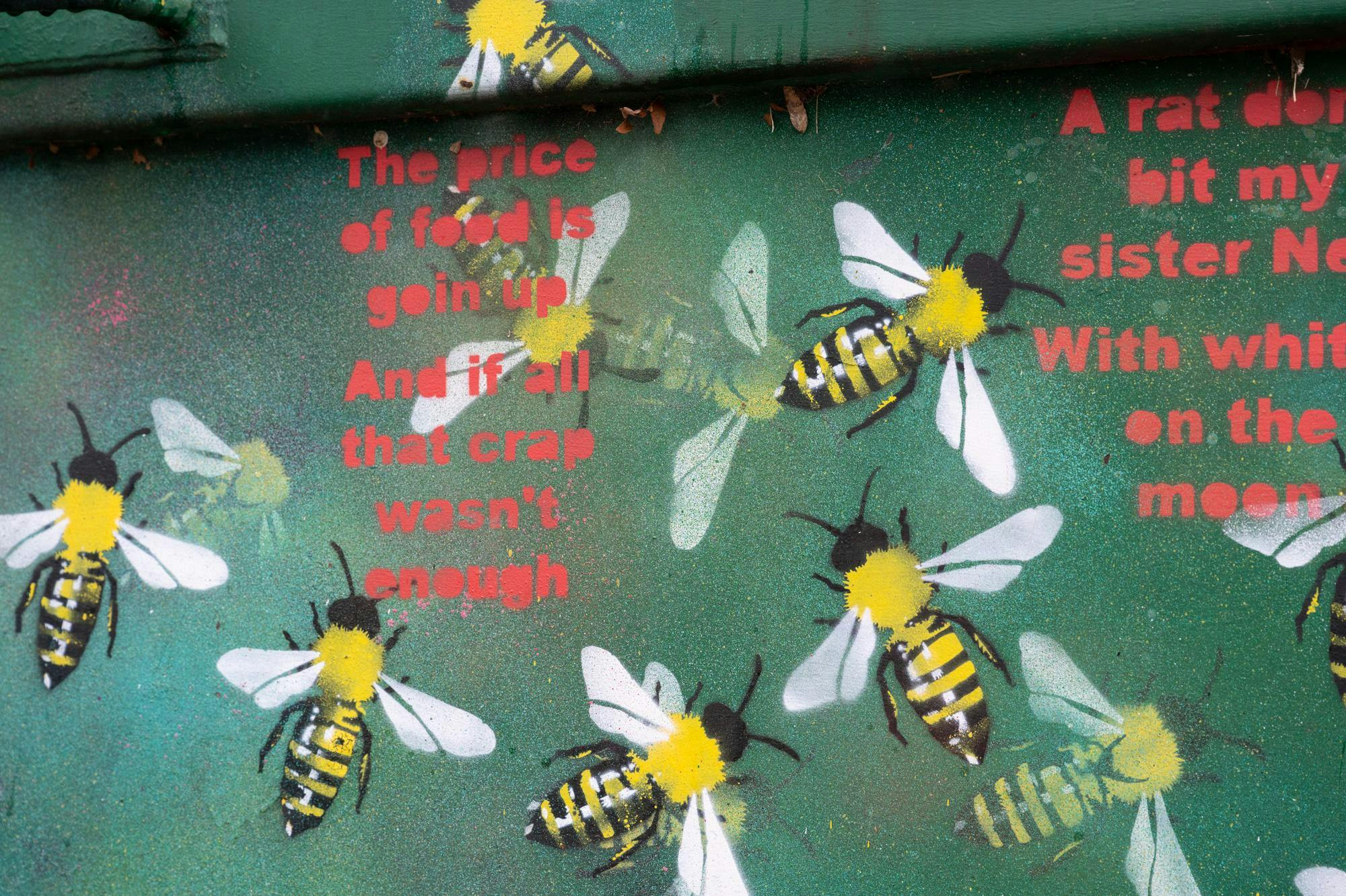 5 sunbursts 2:23.jpg