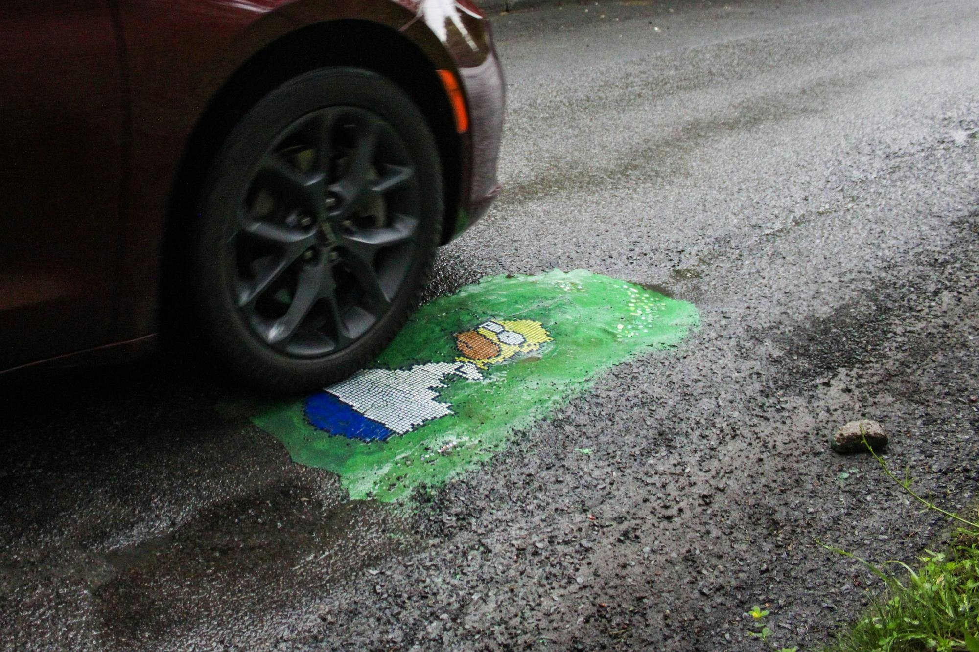 Buffalo Pothole Bandit 6.jpg
