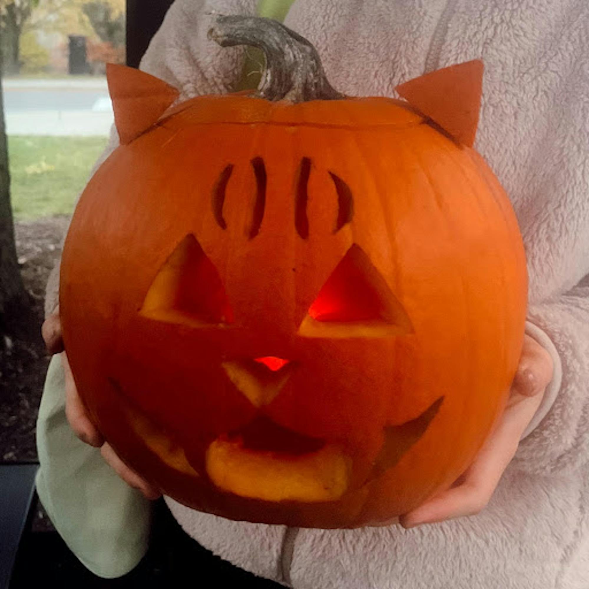 fall momentos article.png