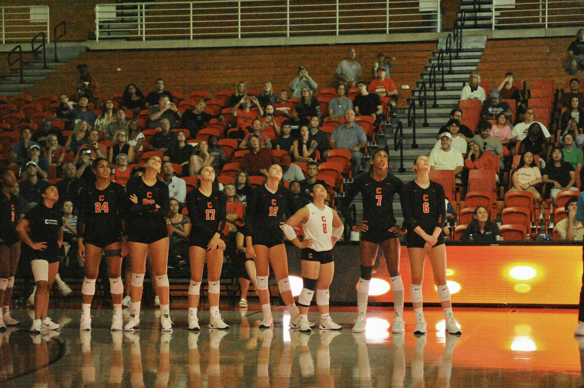 volleyball.JPG
