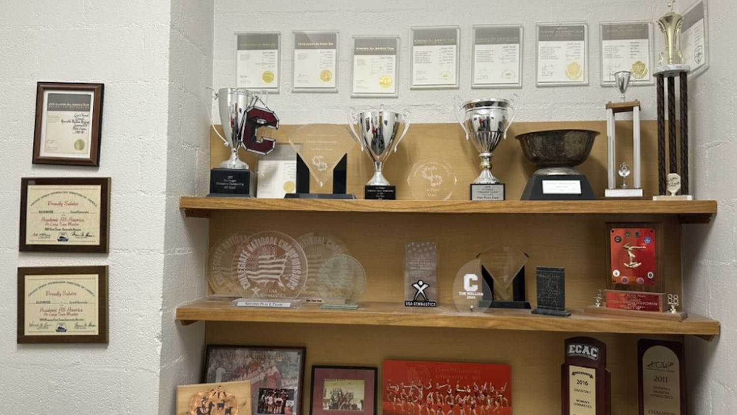 E0121C06-8B68-4860-8DA0-77CE287FF81D_1_105_c