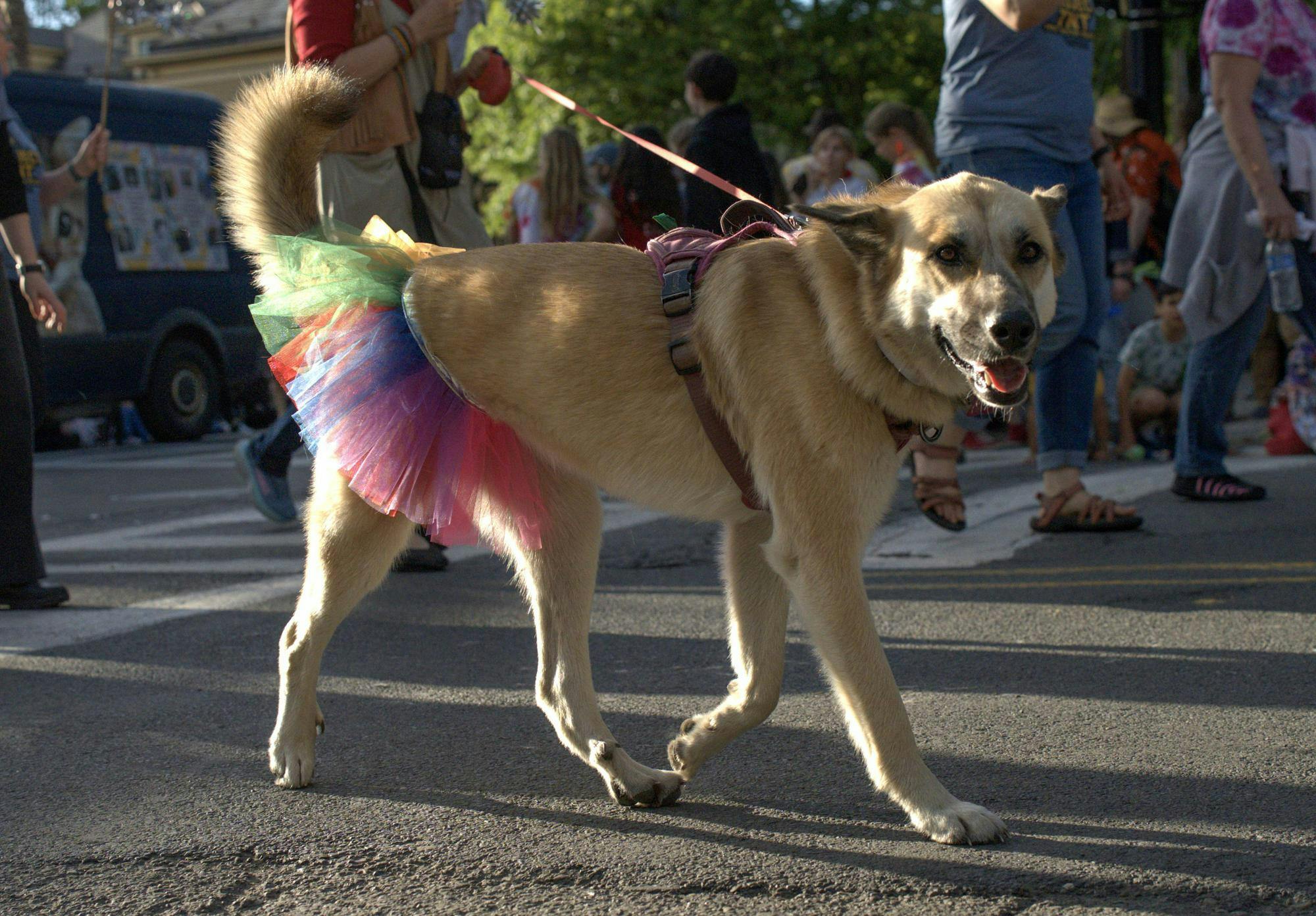 IthacaFest parade 7.jpg