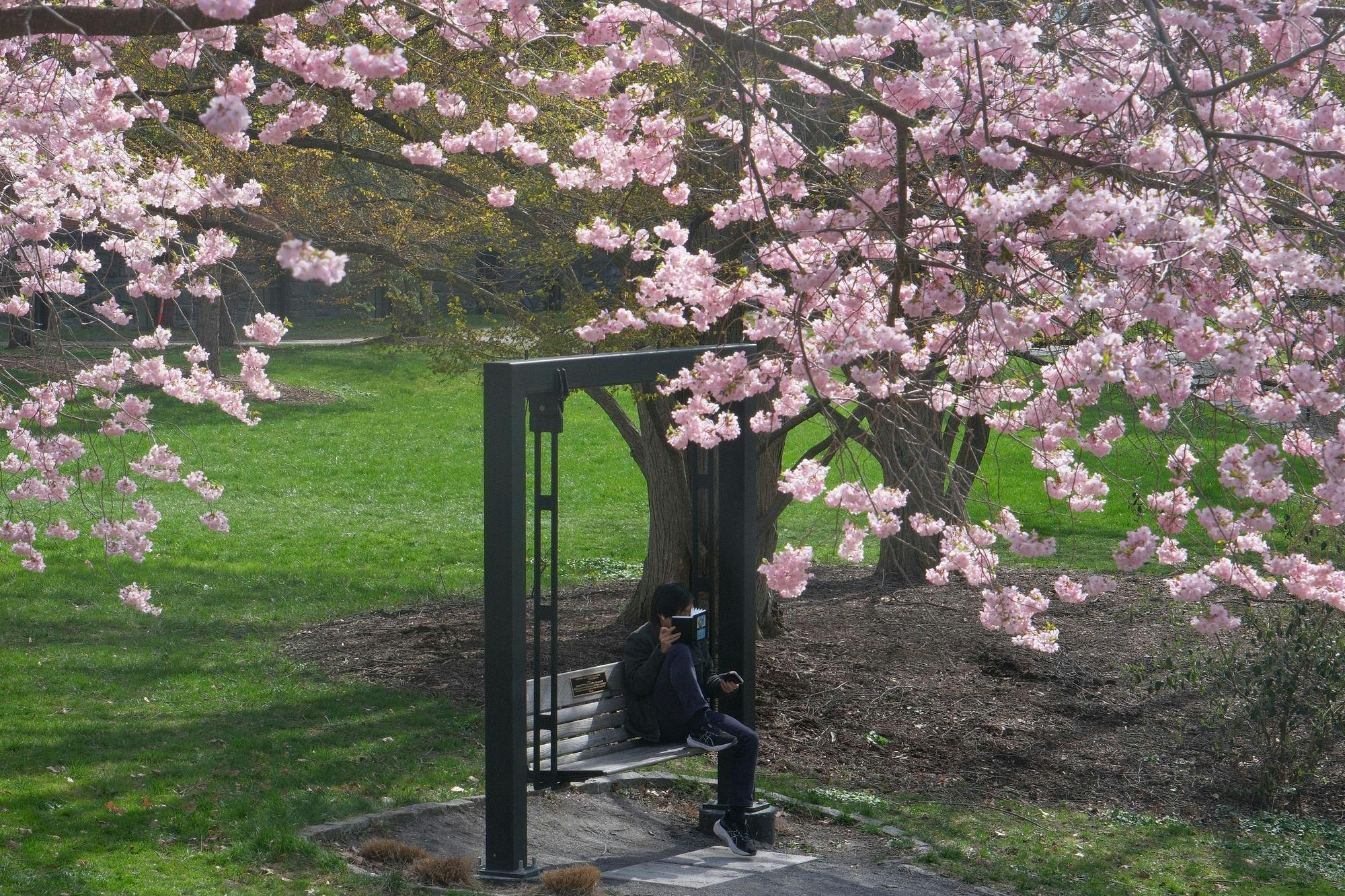 DSCF3375.jpg