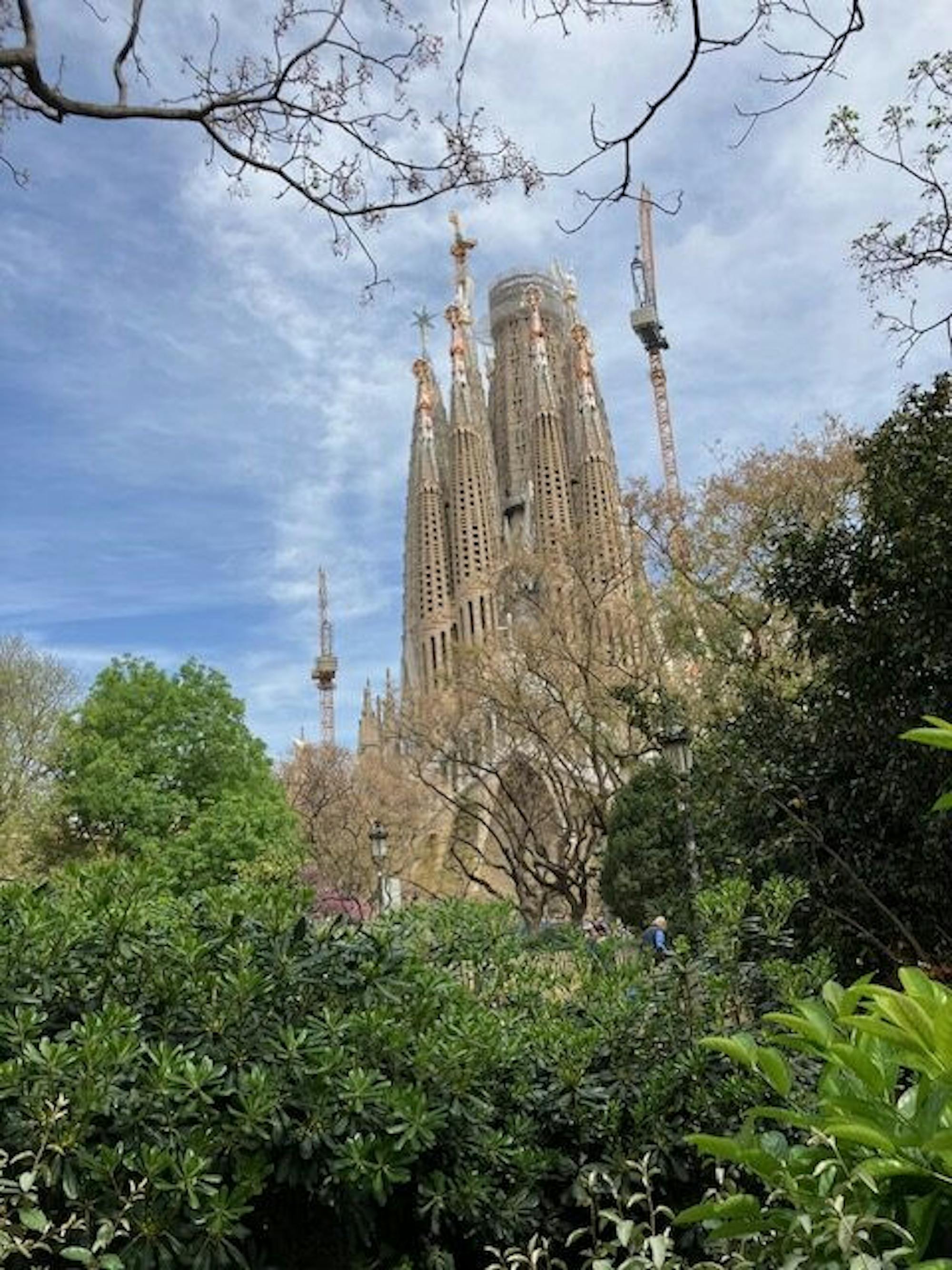 image001-1-rotated