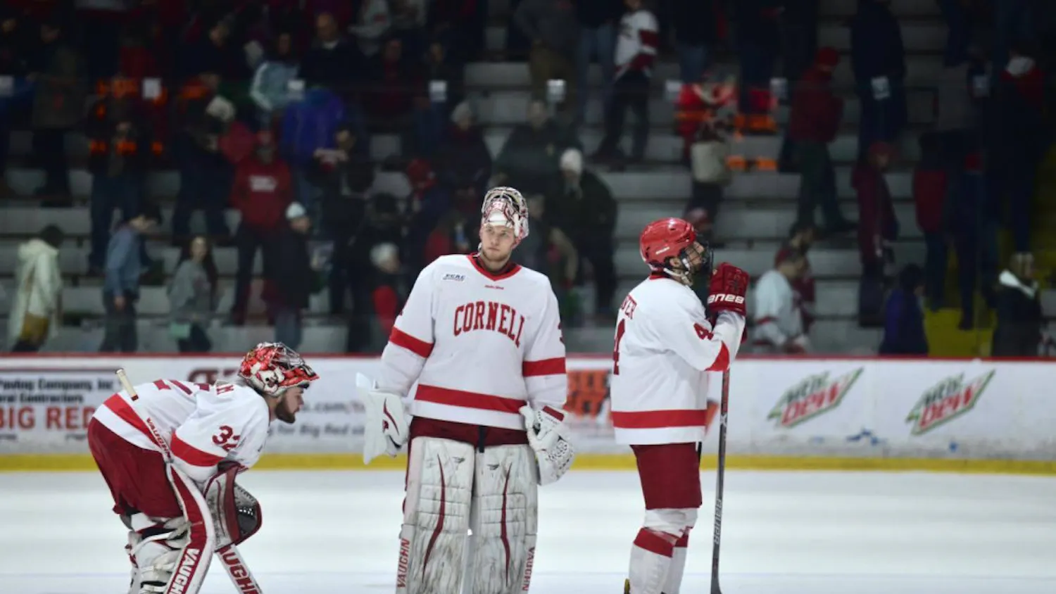 16326052_1434746019871388_686348524_o