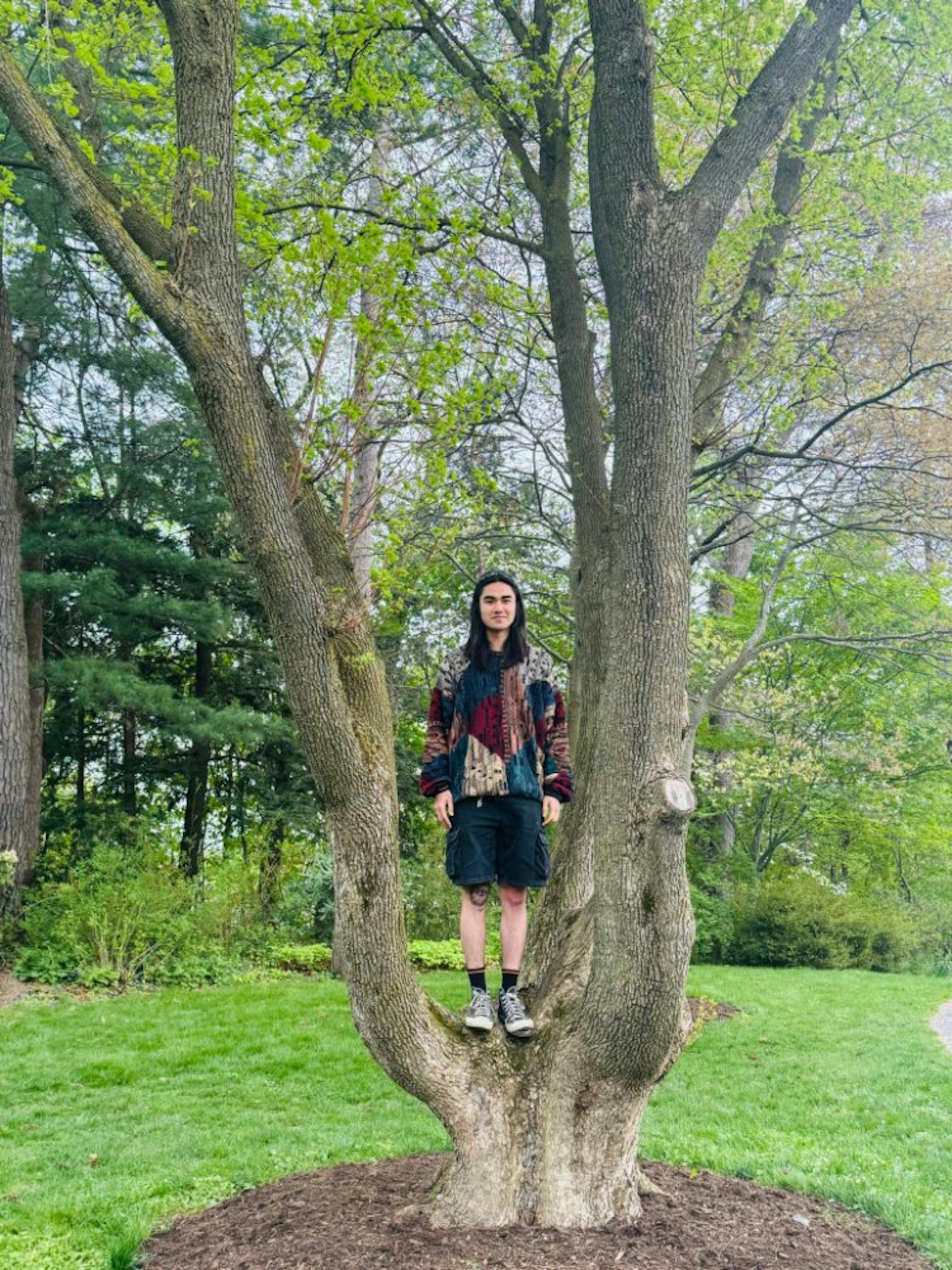 Mingdao-Gavalda-scaled