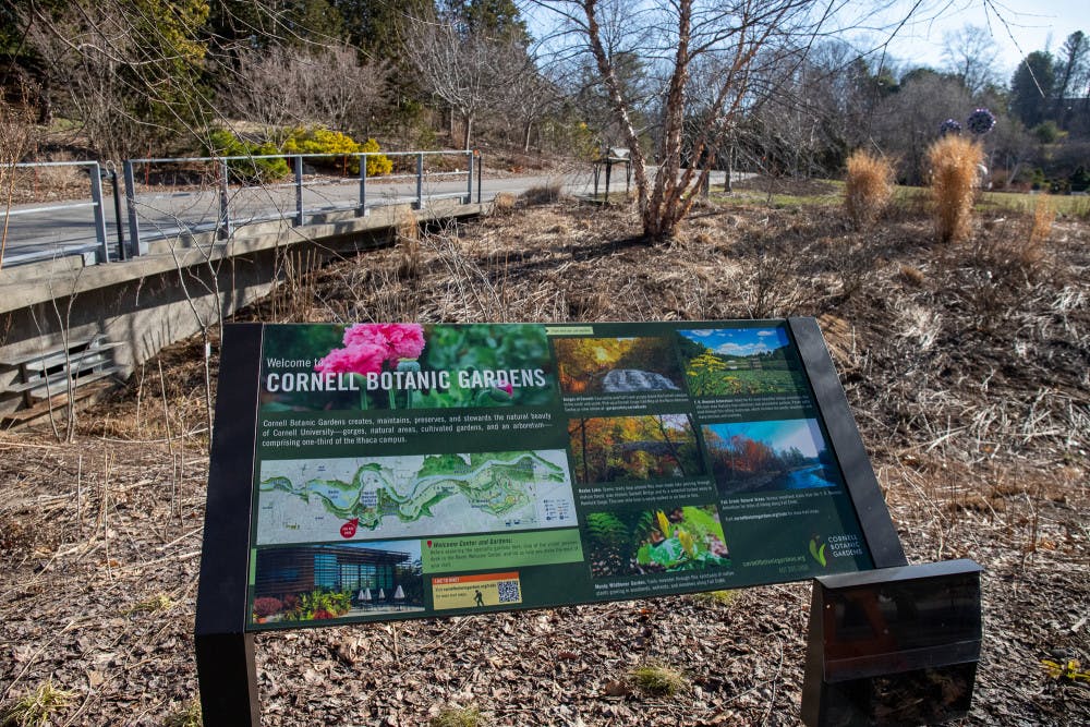 Pg-3-Climate-Change-by-Julia-Nagel-Photo-Editor