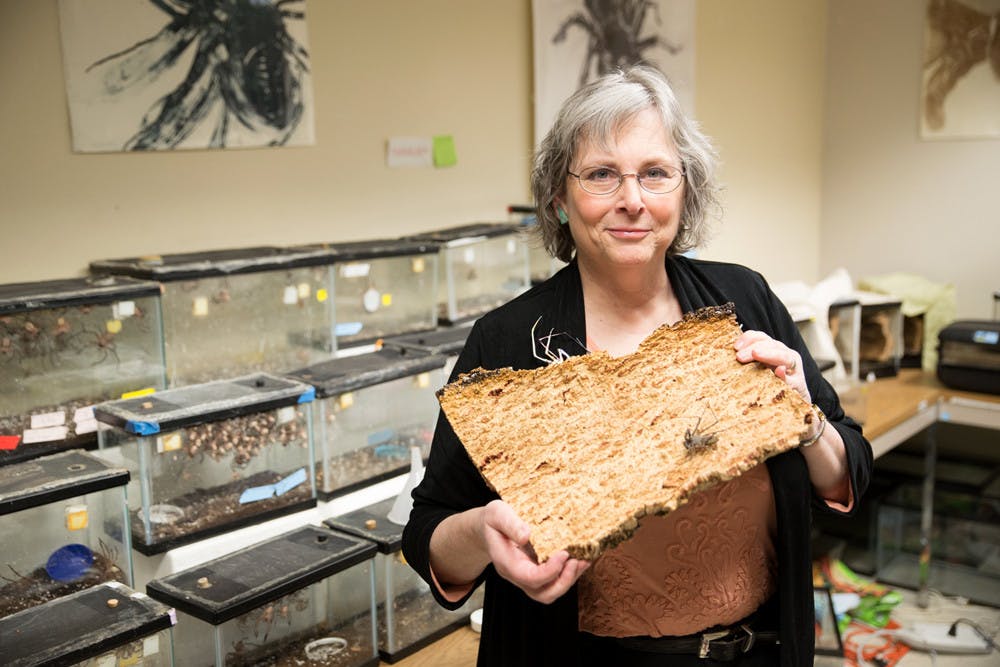 Pg-3-Closeup-1-by-Cameron-Pollack-Senior