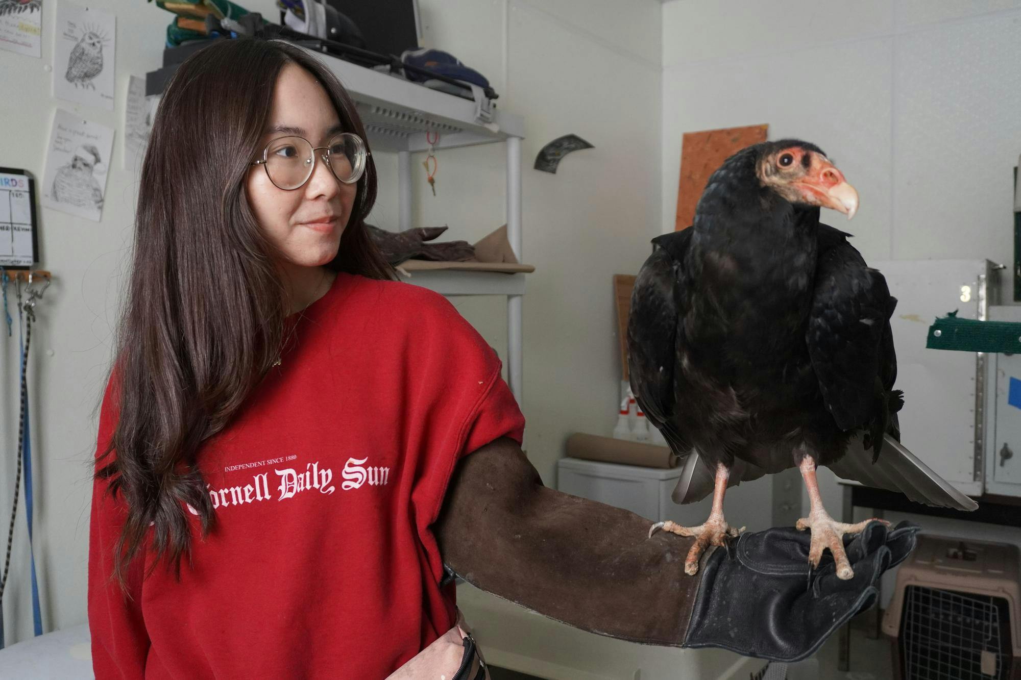 Sunbursts 1 2.19.26.JPG