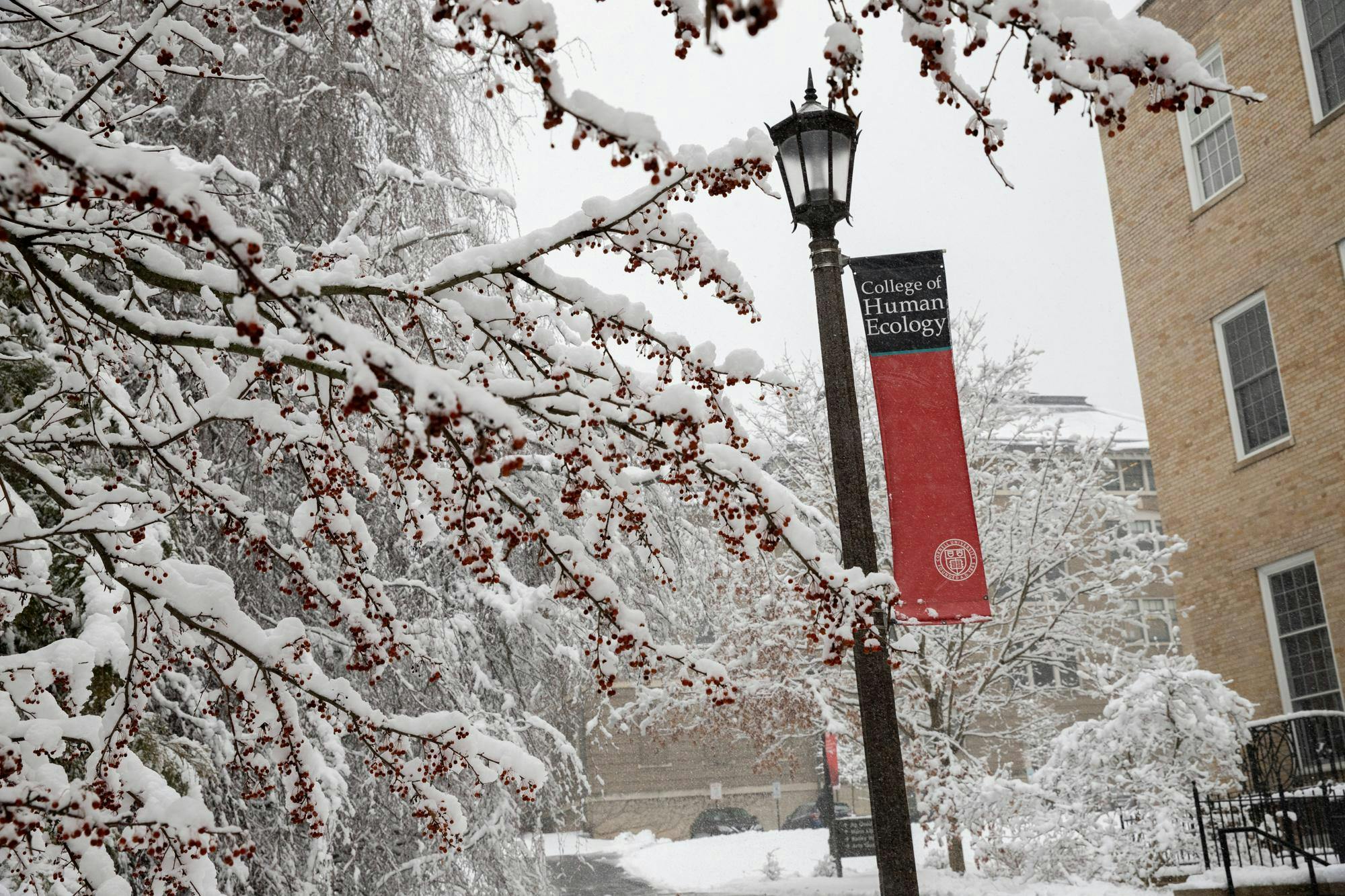 mehta research group.jpg