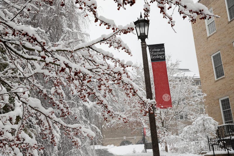 Mehta Research Group Seeks to Improve Global Nutrition With Precision Nutrition Technology