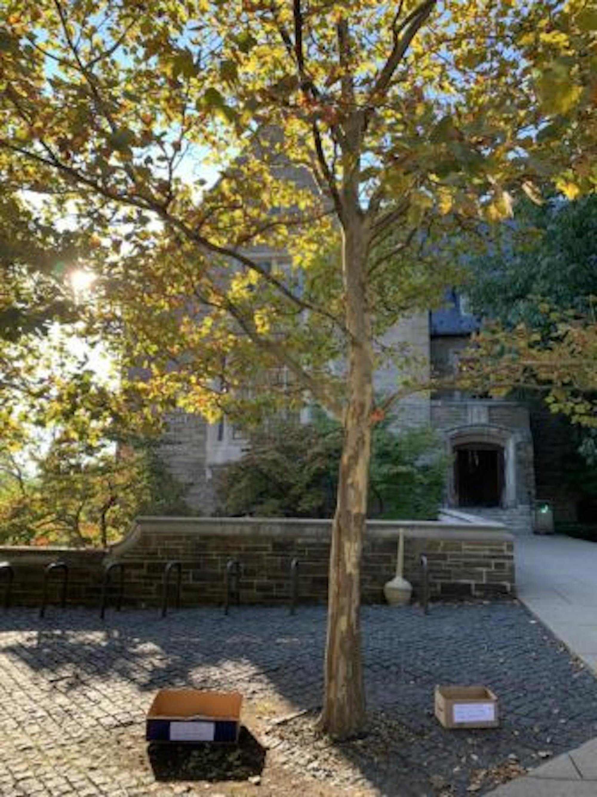The boxes were part of a research project for a field biology course.