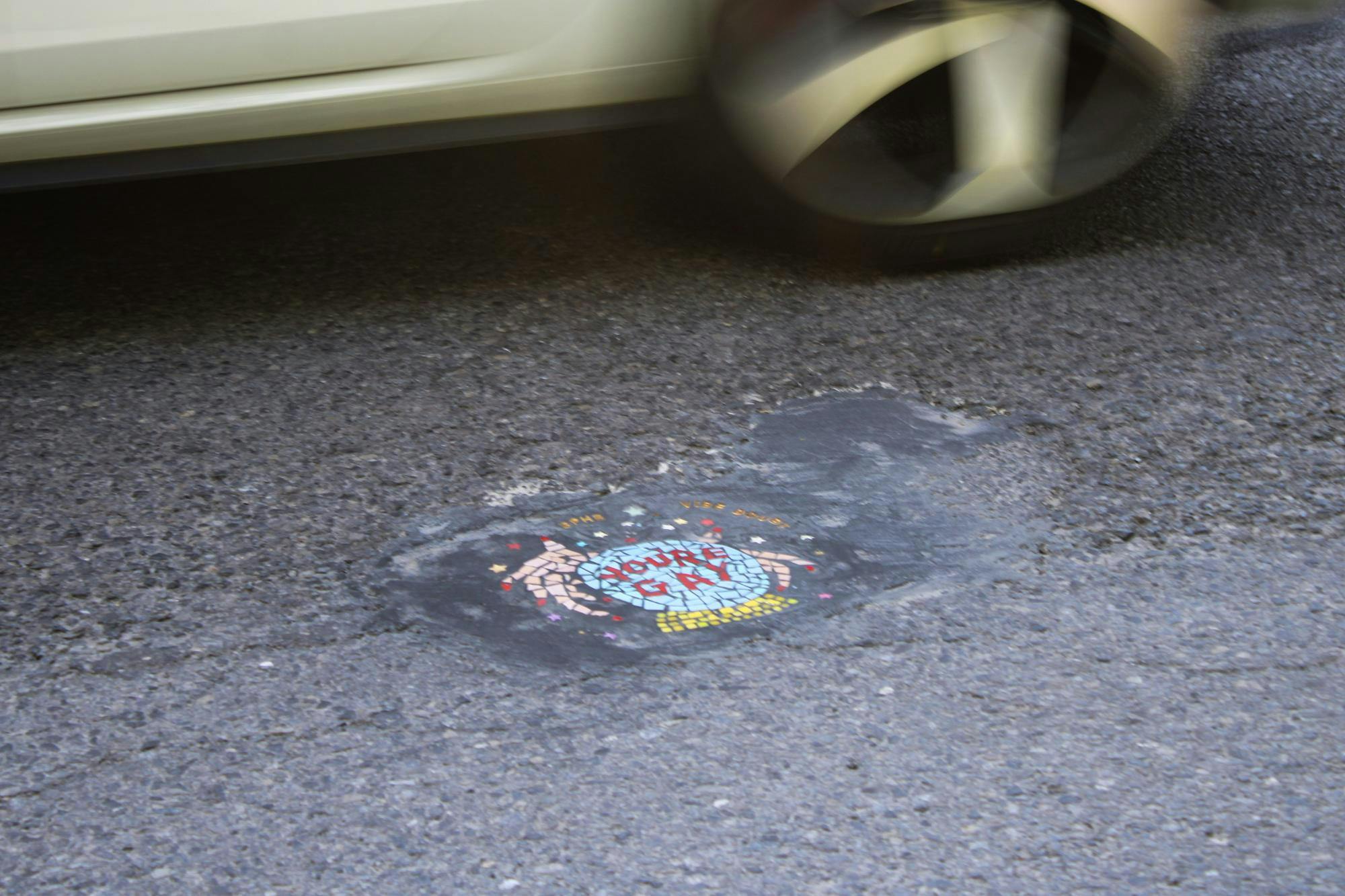 Buffalo Pothole Bandit 1.jpg