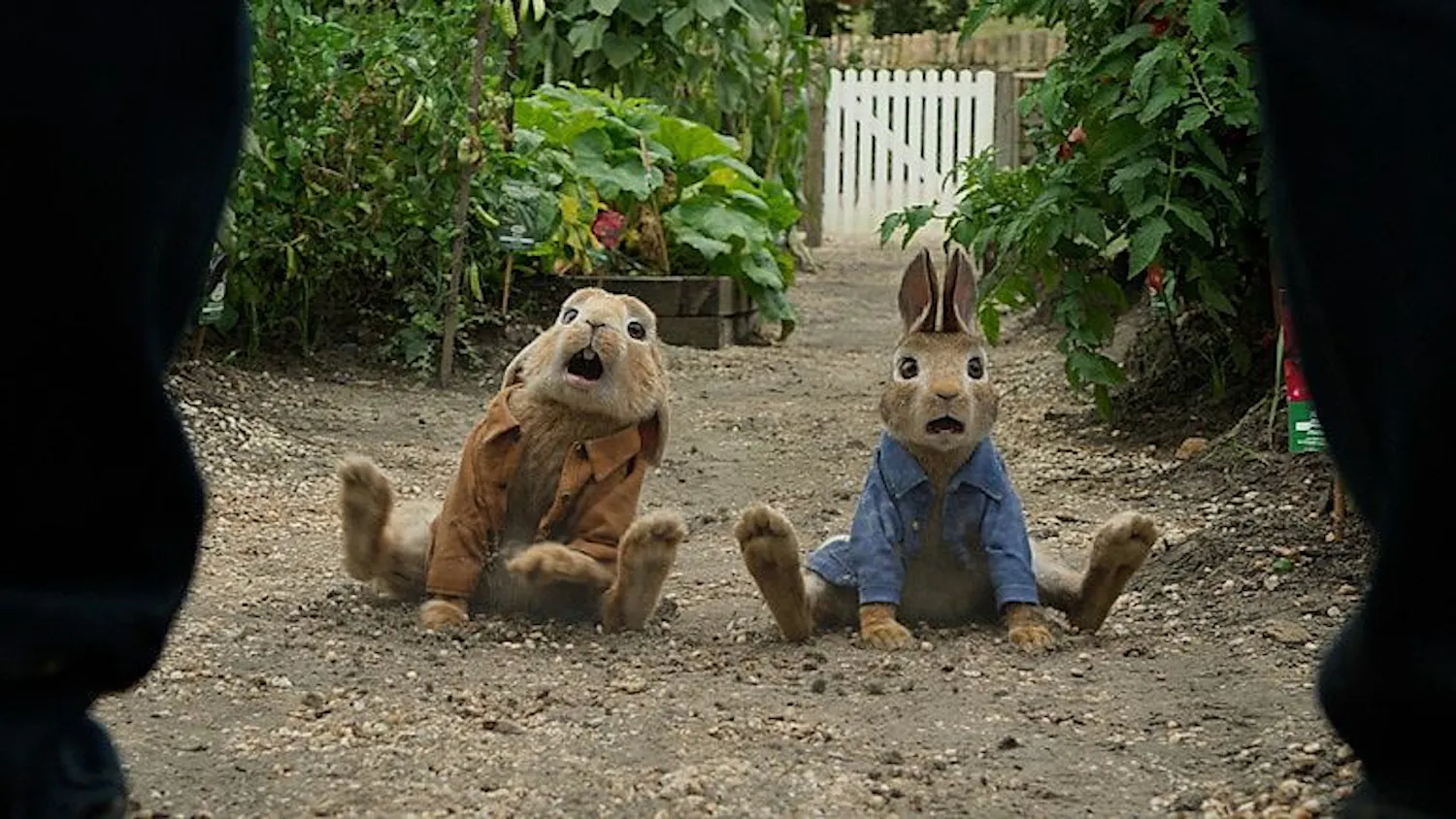 peter-rabbit-trailer-3