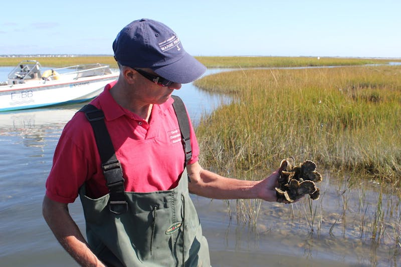 Not Always as Happy as a Clam: The Cultural Clashes Underpinning Long ...