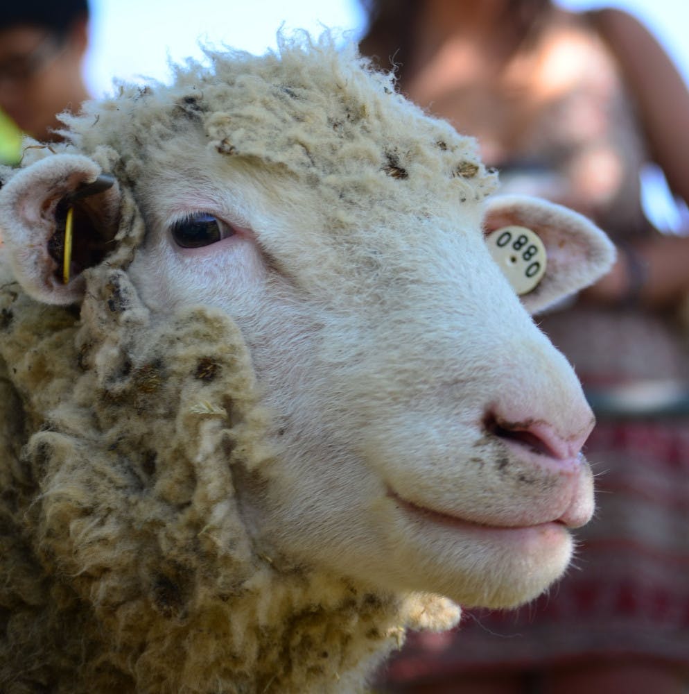 Pg-3-Ag-Day-File-Photo