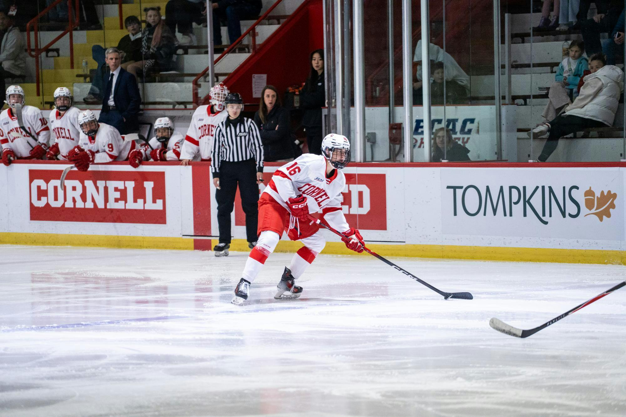 Big Red Womens hockey VS brown-02.jpg