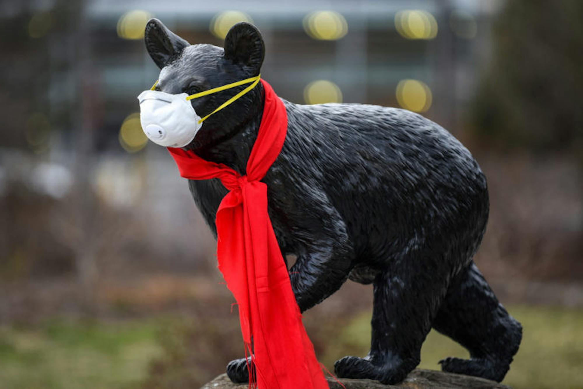 The Touchdown statue by Teagle Hall sports an N95 respirator on Monday. (Boris Tsang/Sun Photography Editor)