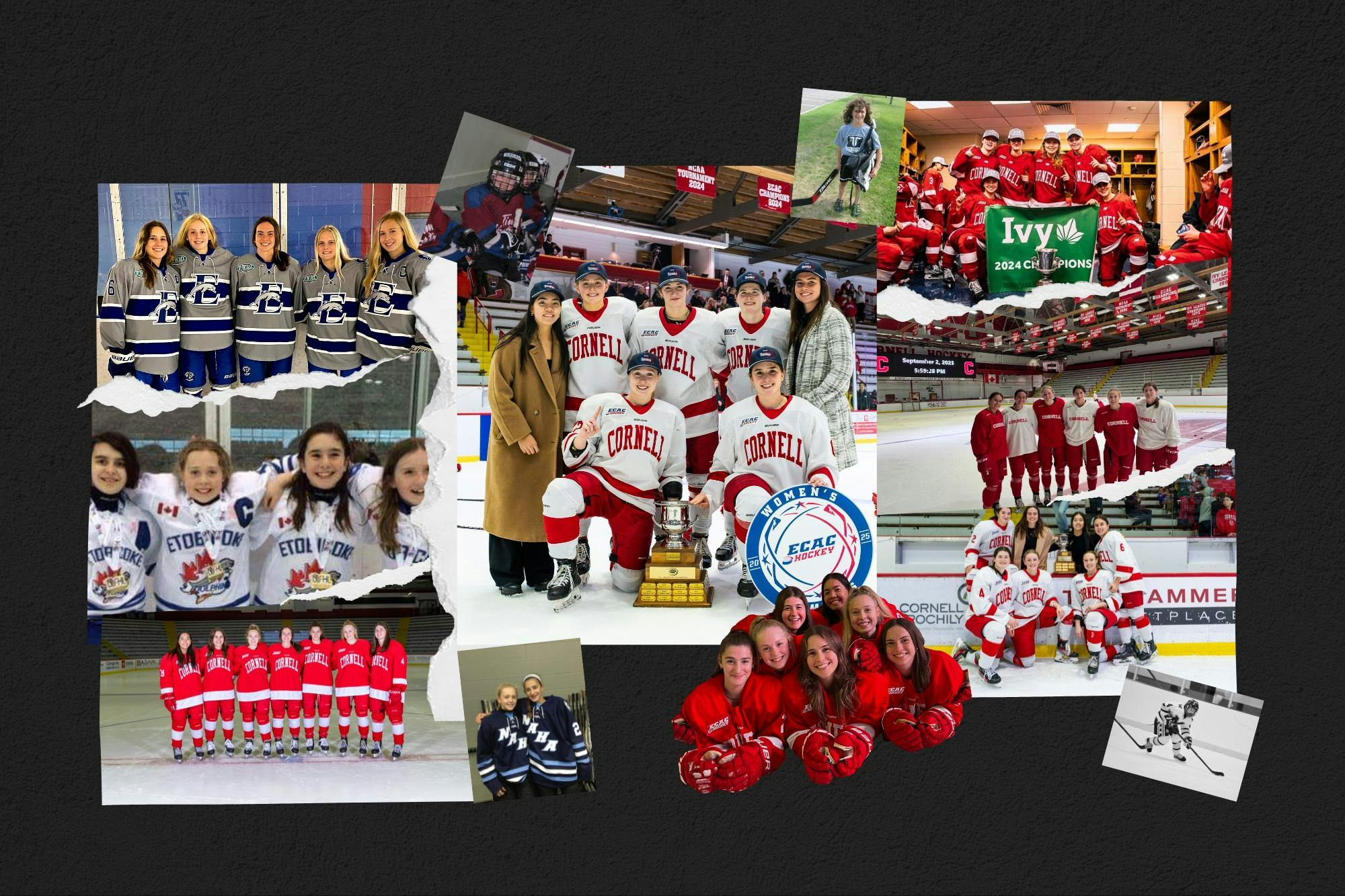 Article graphics - 14