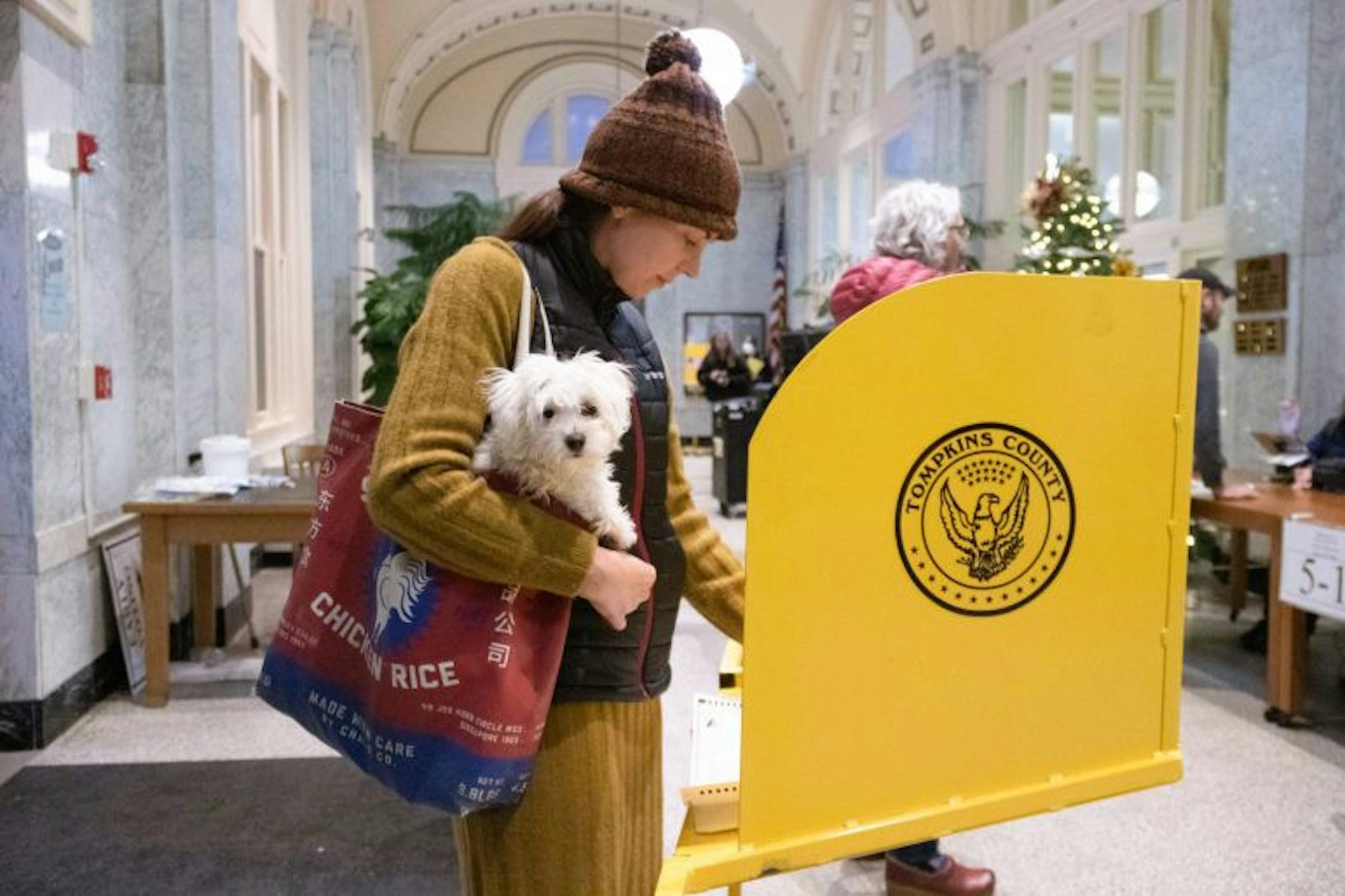 Pg-1-Voting-3-by-Jason-Wu-Asst-1-scaled