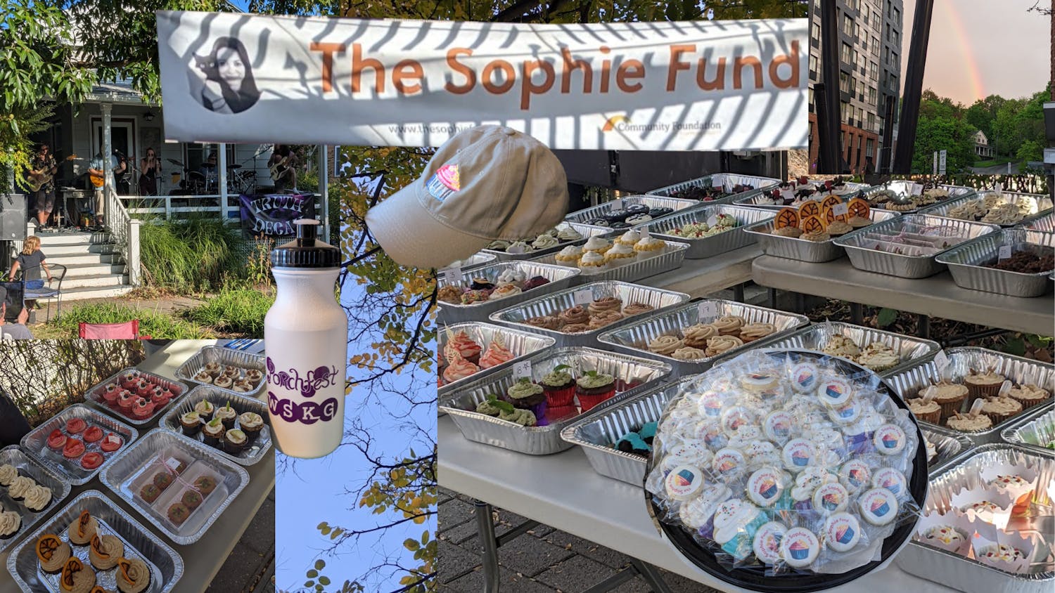 Why You Should Volunteer in Ithaca Graphic - Melanie Delfosse