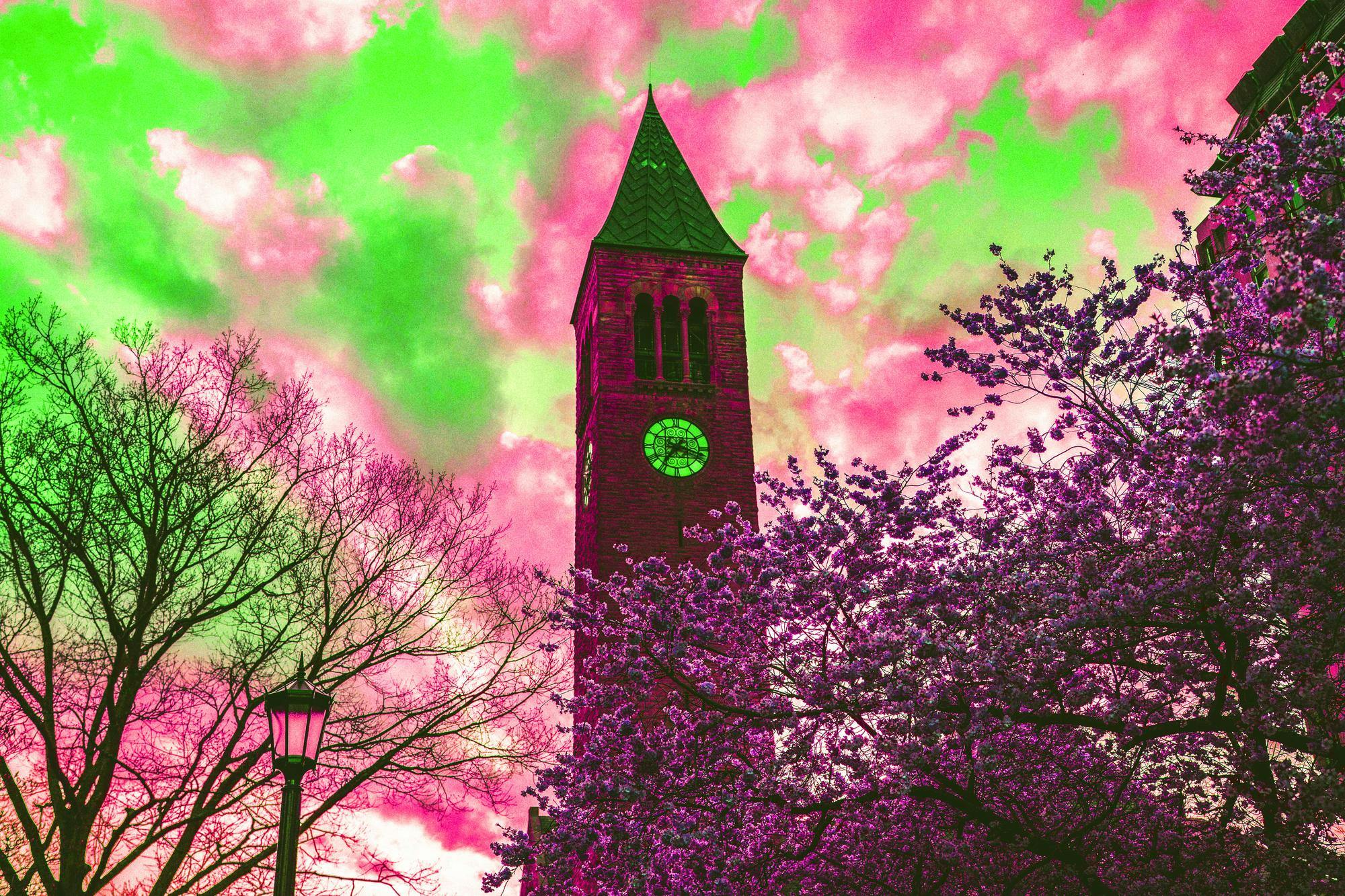sunbursts7.jpg