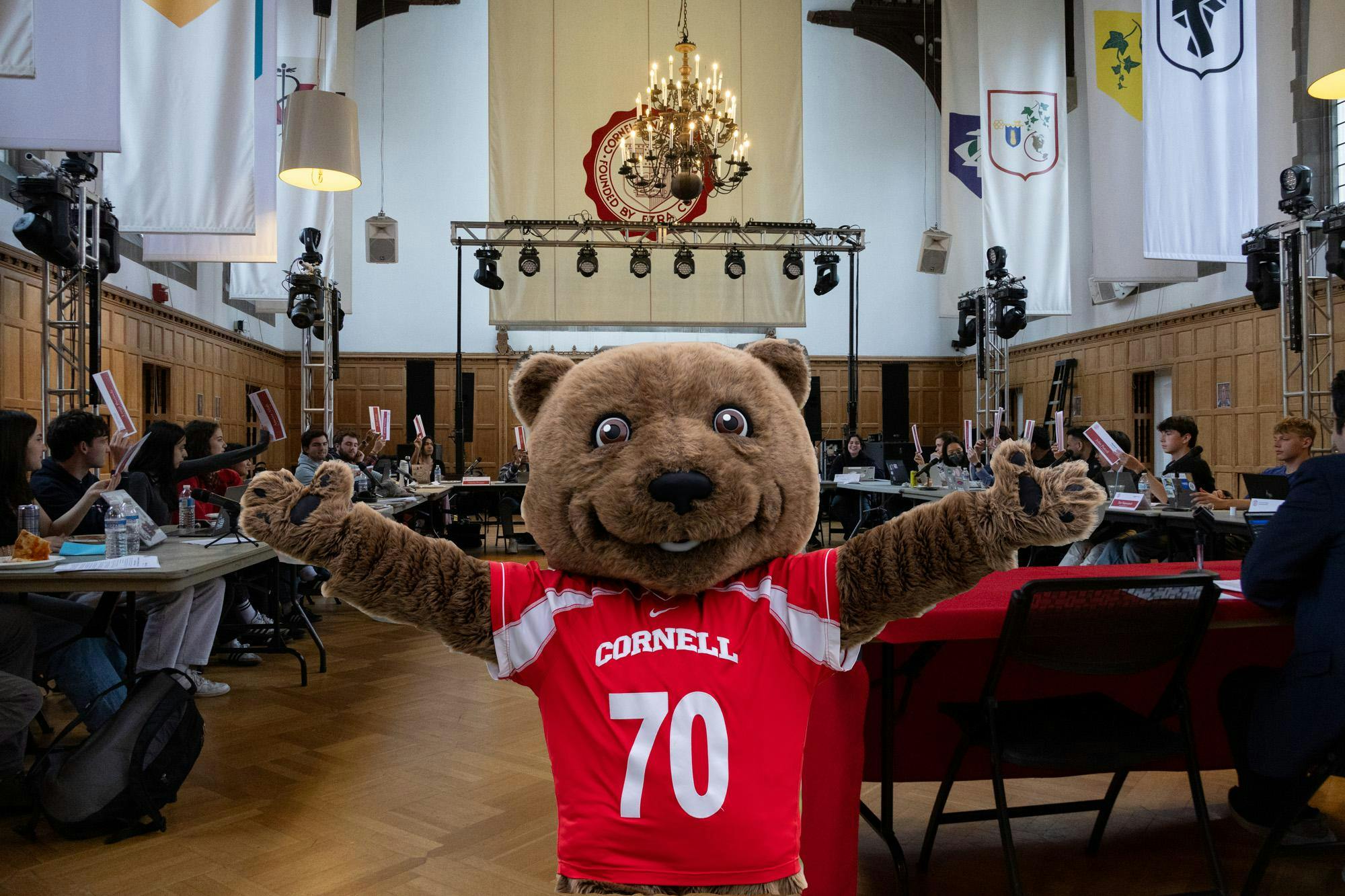 4-20 sunbursts touchdown.jpg