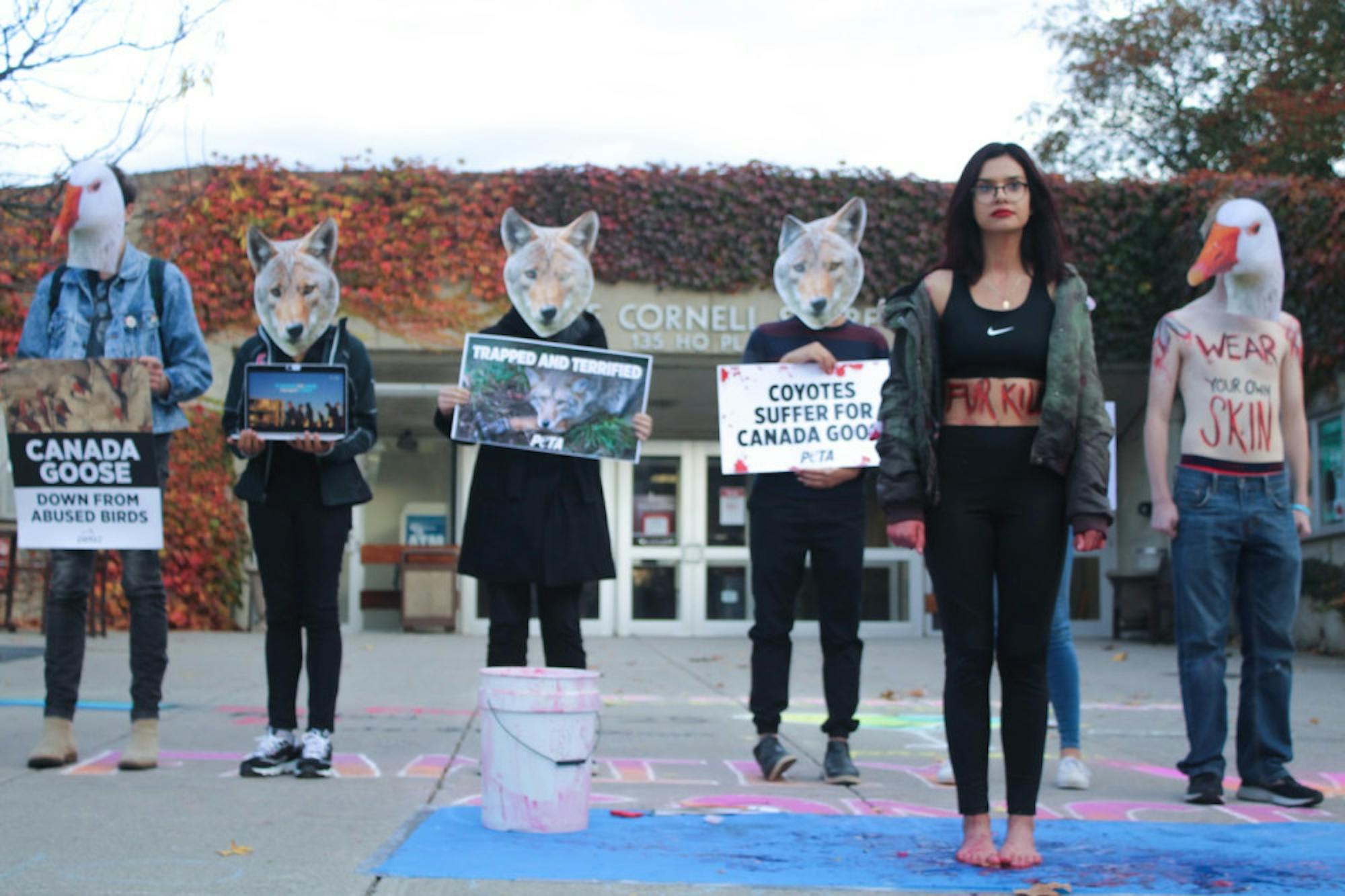 CanadaGoose_IsabelLu