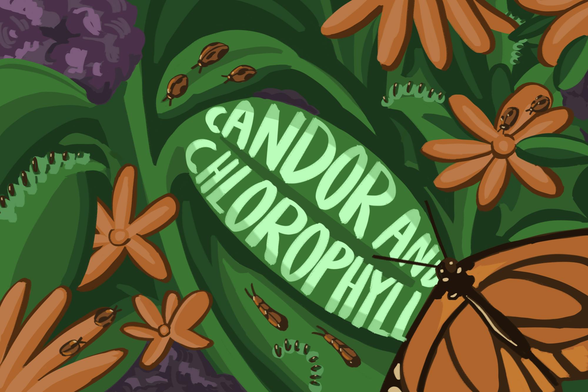 Candor and Chlorophyll, Agrawal